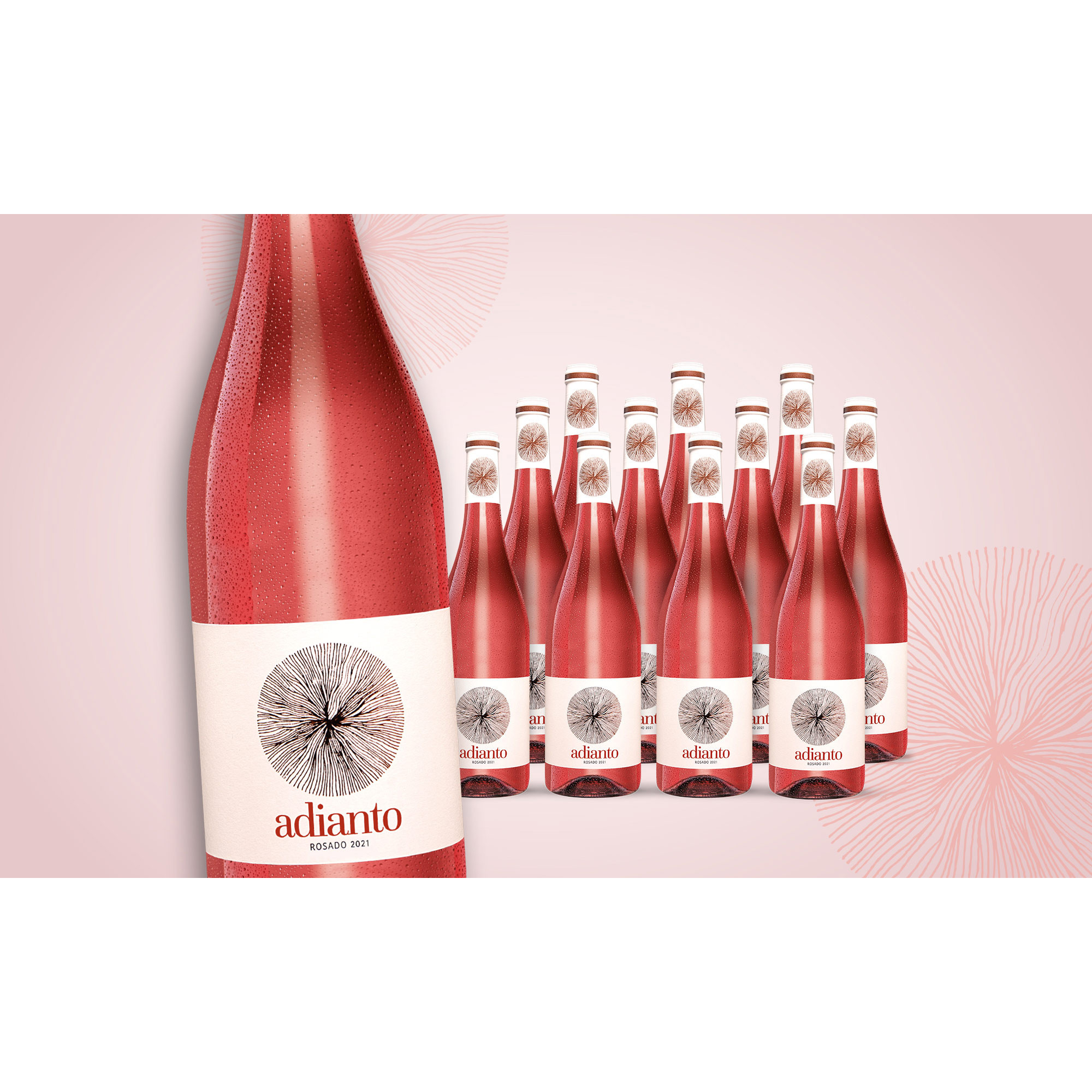 Adianto Rosado 2021  9L Trocken Weinpaket aus Spanien bei Wein & Vinos