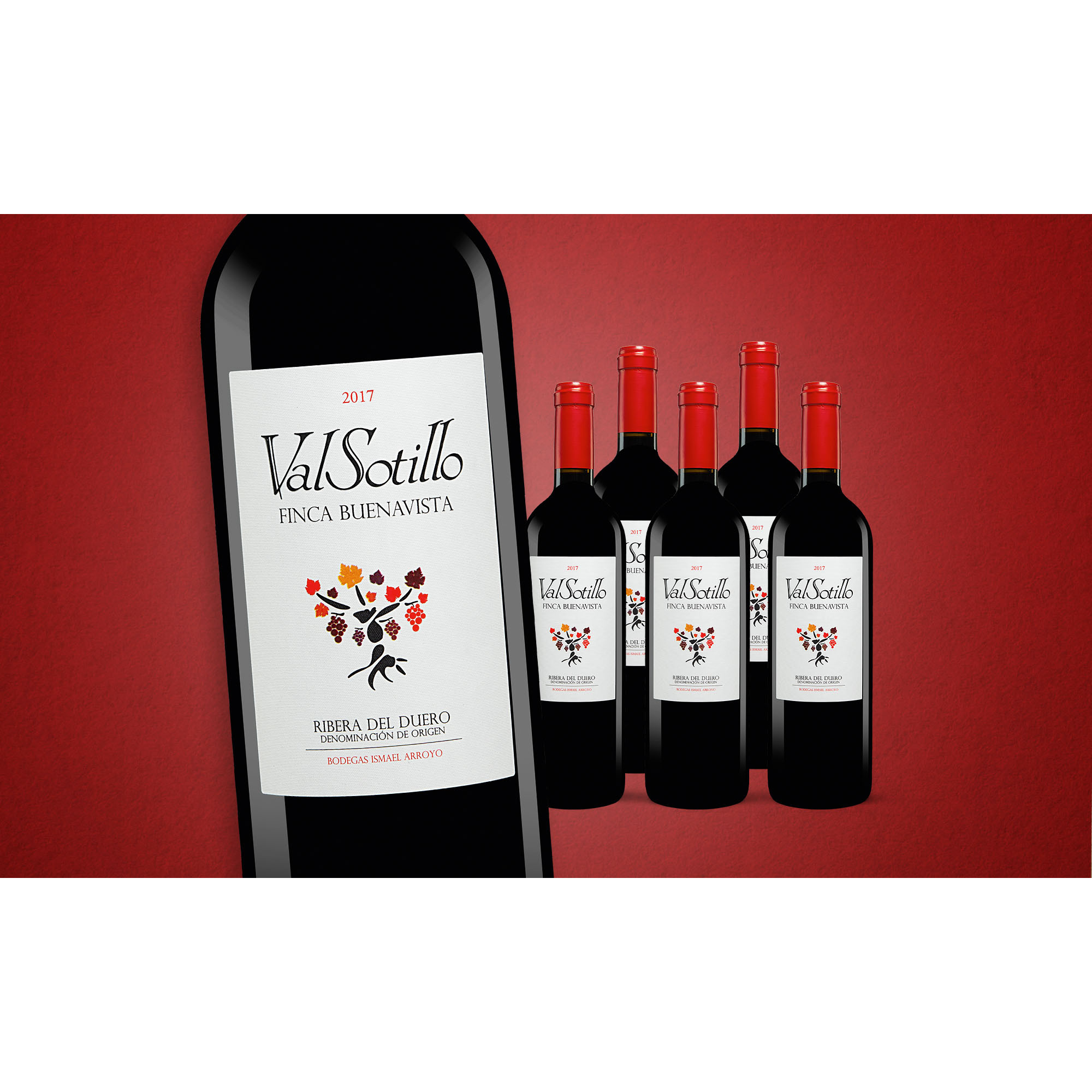 Val Sotillo »Finca Buenavista« 2017  4.5L Trocken Weinpaket aus Spanien bei Wein & Vinos