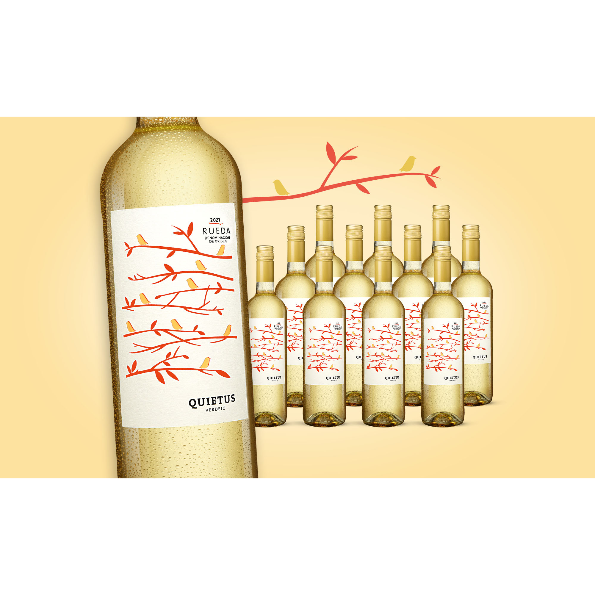 Quietus Verdejo 2021  9L Trocken Weinpaket aus Spanien 34022 vinos DE