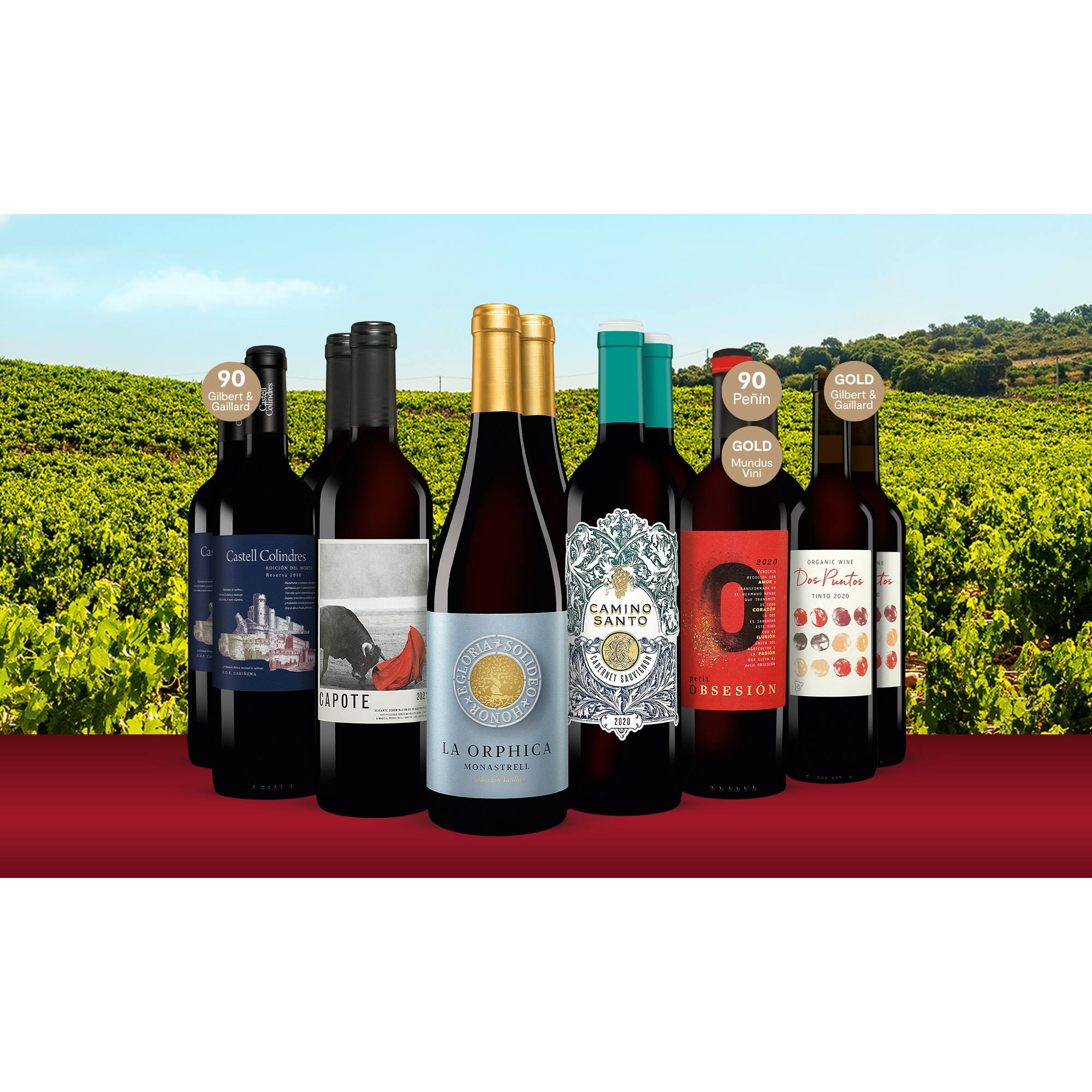 Sommer-Genießer-Paket  9L Weinpaket aus Spanien 34242 vinos DE