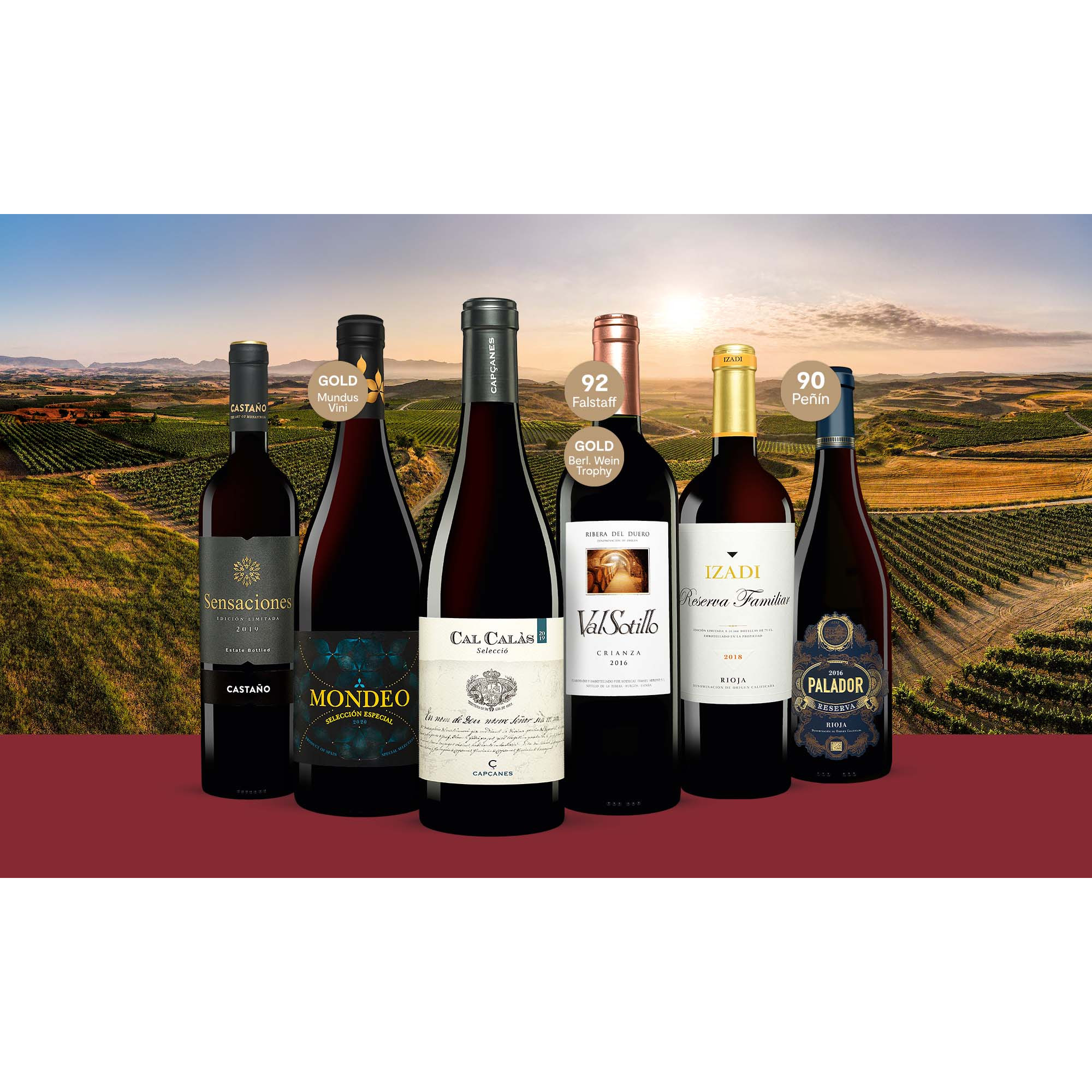 Sommer-Premium-Paket  4.5L Weinpaket aus Spanien 34243 vinos DE