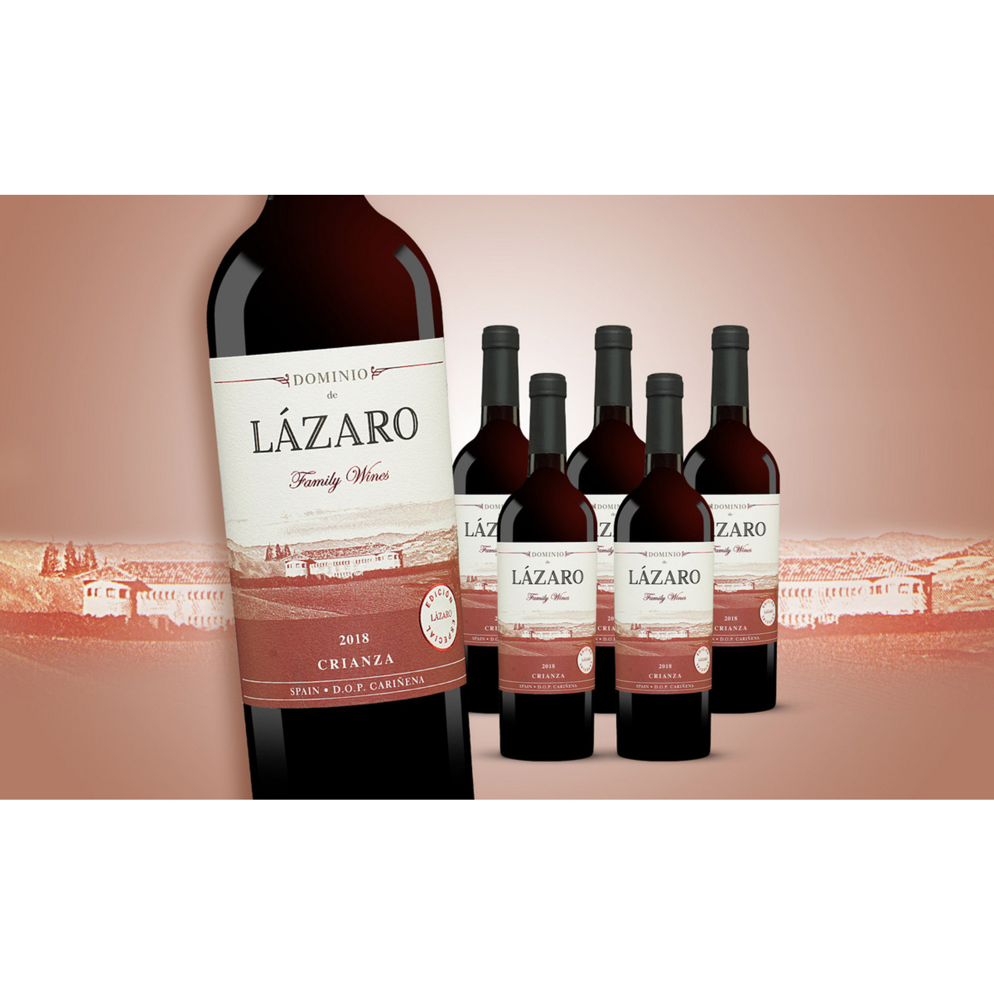 Dominio de Lázaro Crianza 2018  4.5L Trocken Weinpaket aus Spanien 34247 vinos DE