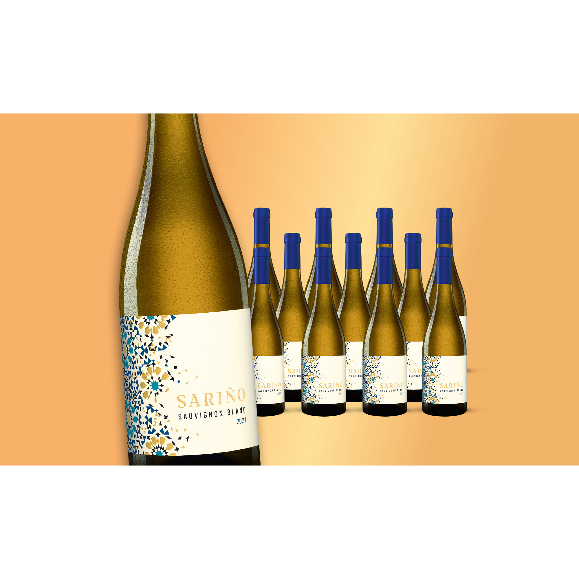 Sariño Sauvignon Blanc 2021  9L Weinpaket aus Spanien 34256 vinos DE