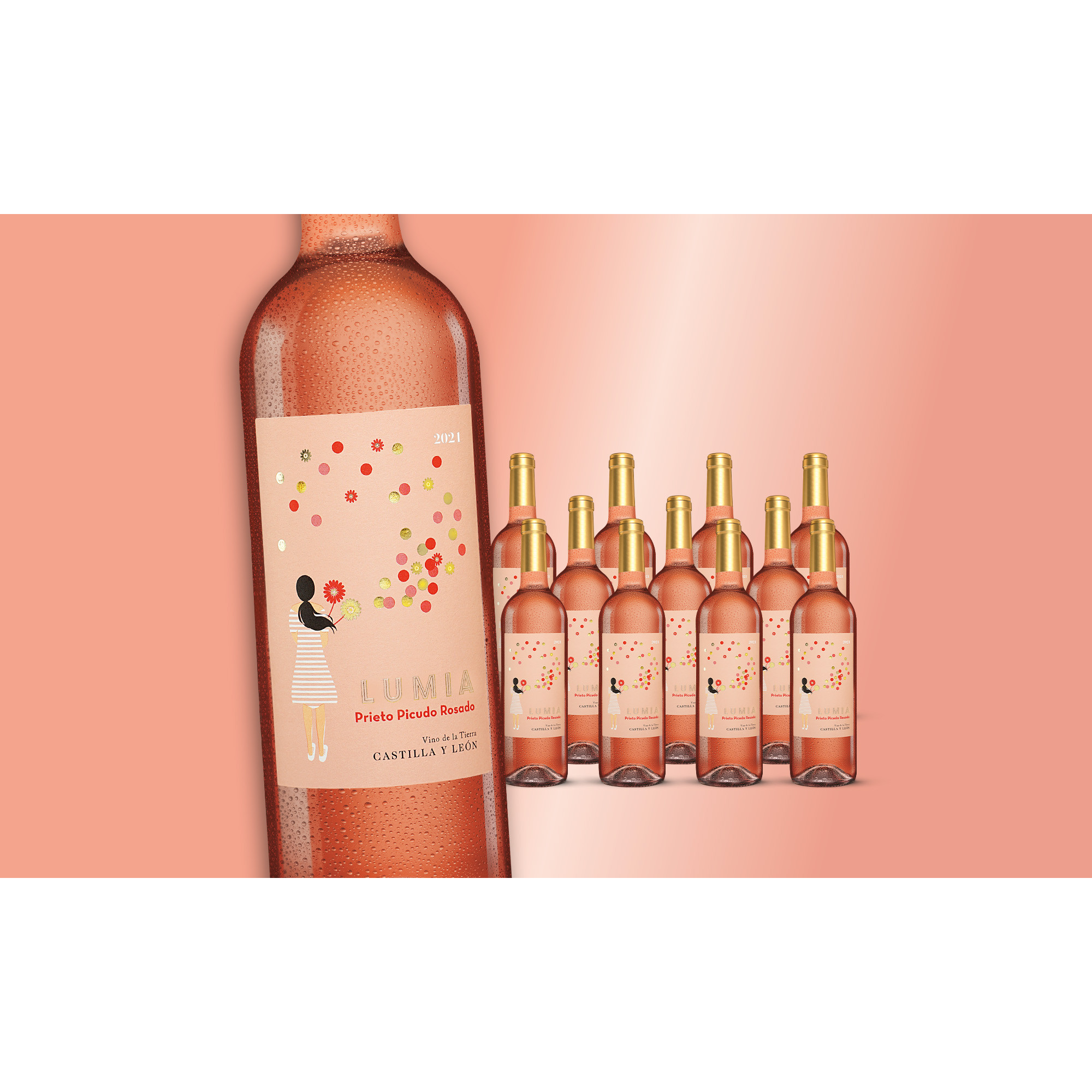 Lumia Rosado 2021  9L 13% Vol. Weinpaket aus Spanien 34261 vinos DE