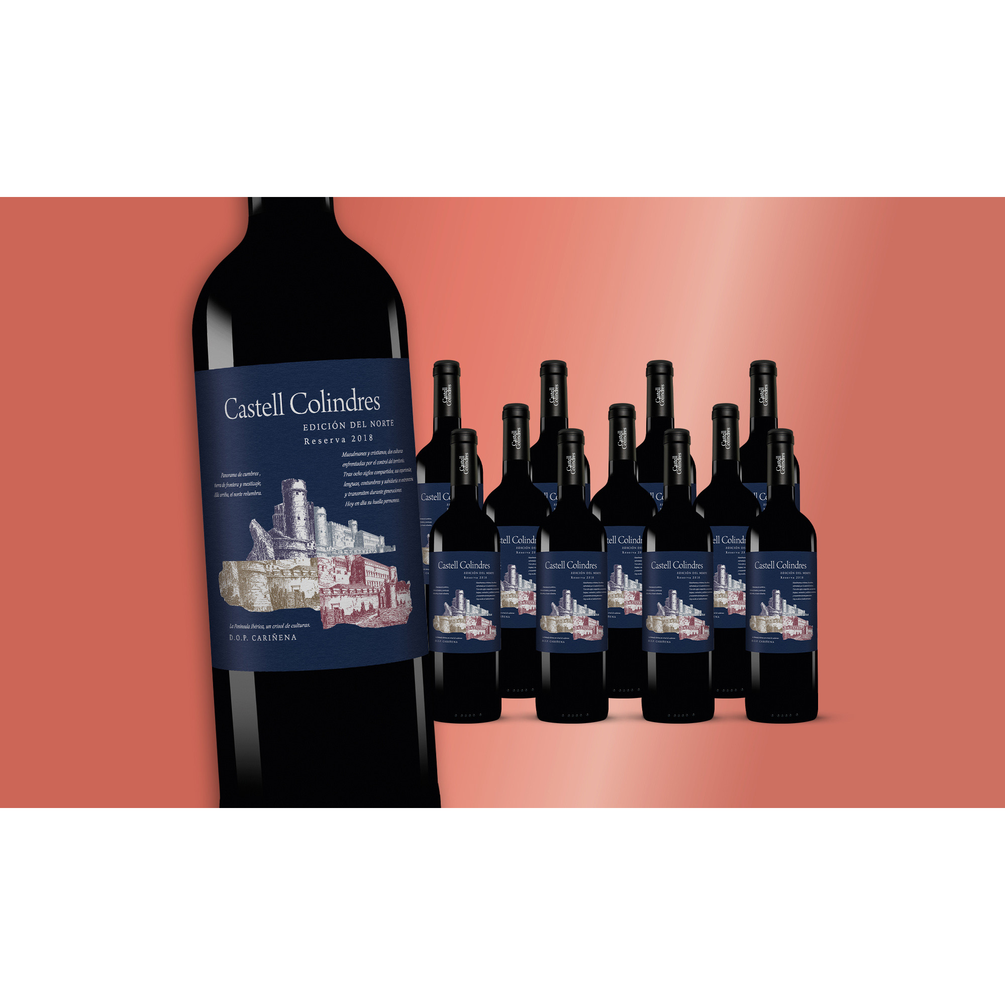 Castell Colindres Reserva Edición del Norte 2018  9L Weinpaket aus Spanien 34263 vinos DE