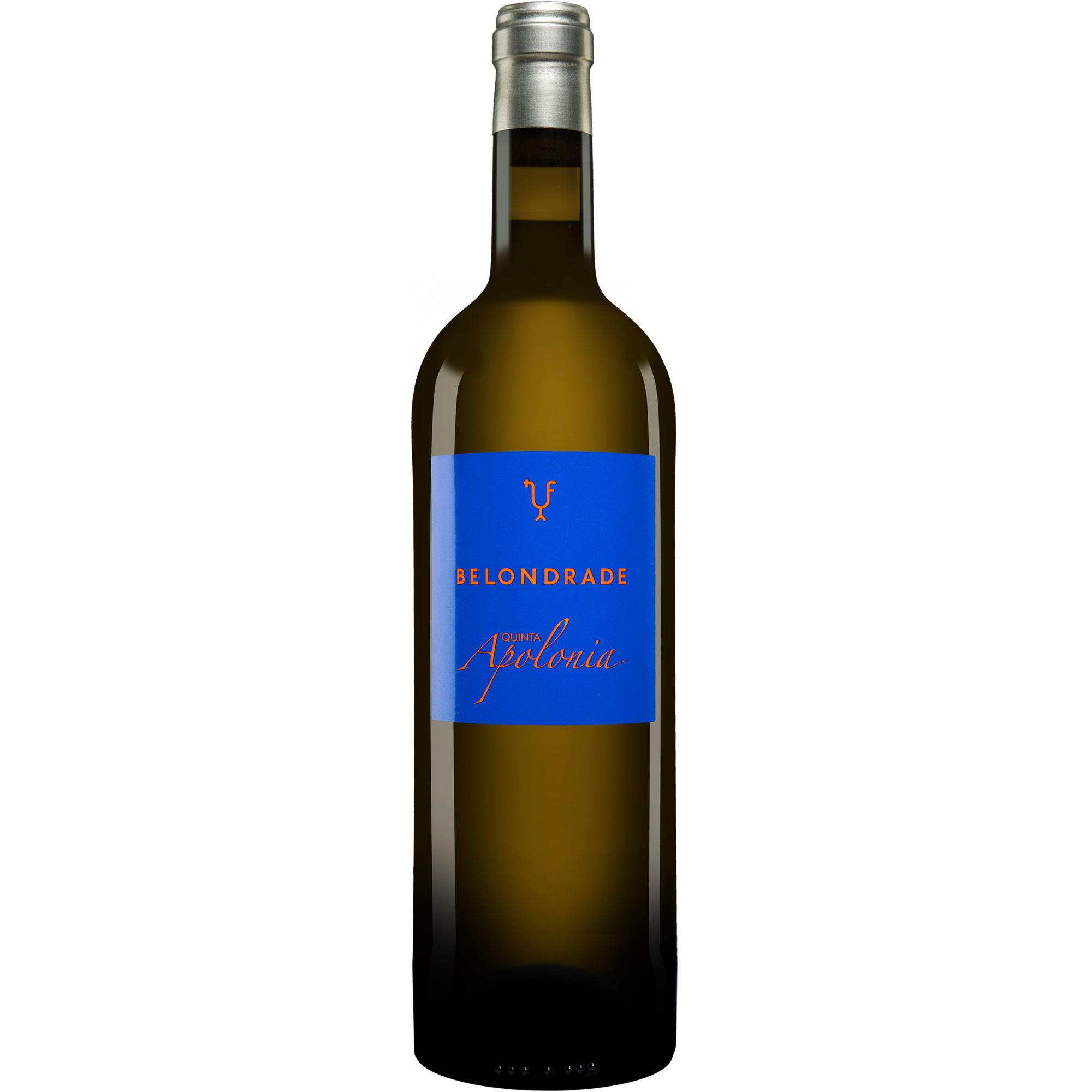 Quinta Apolonia Belondrade 2021  0.75L 13.5% Vol. Weißwein Trocken aus Spanien Weißwein 34274 vinos DE