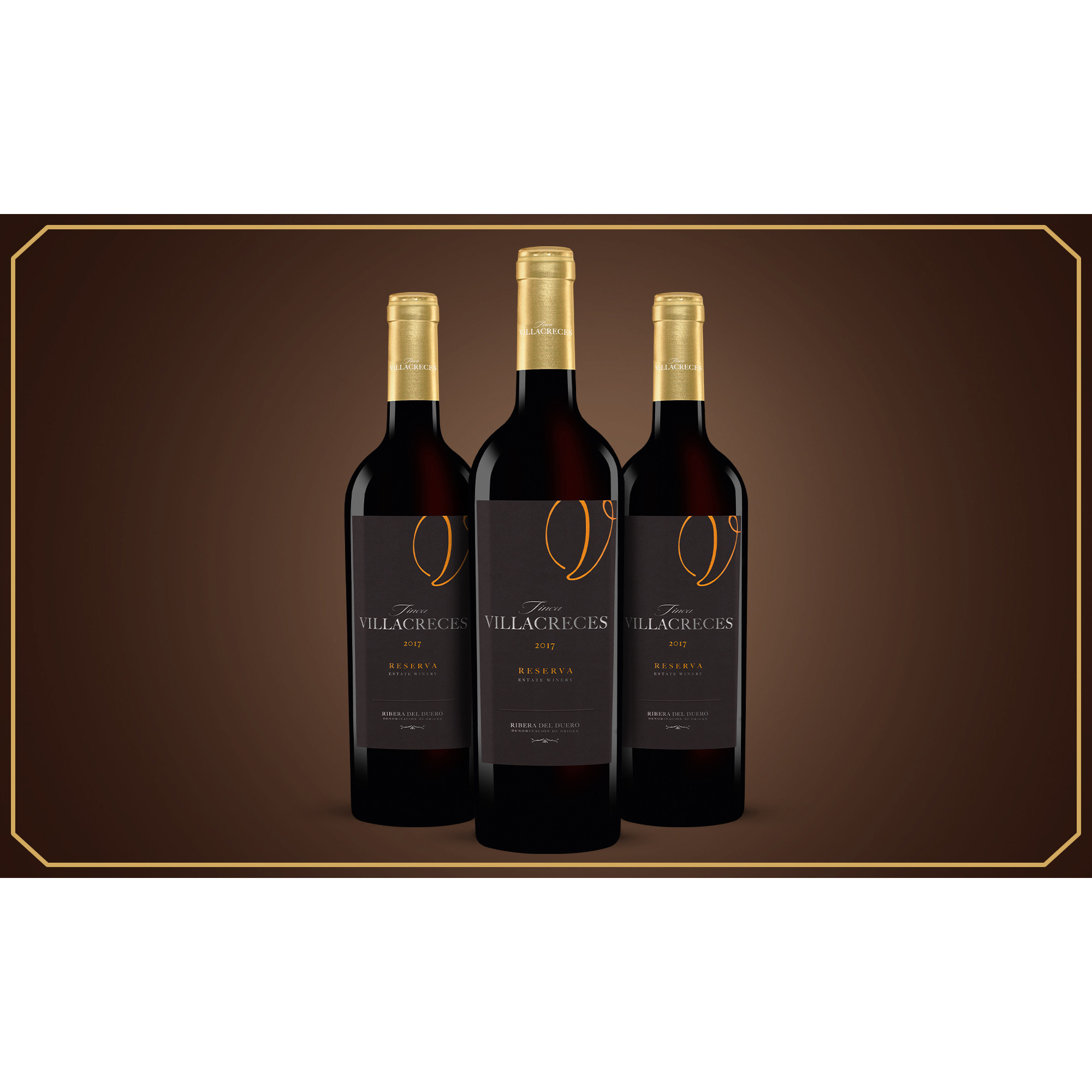 Finca Villacreces Reserva 2017  2.25L Trocken Weinpaket aus Spanien 34301 vinos DE