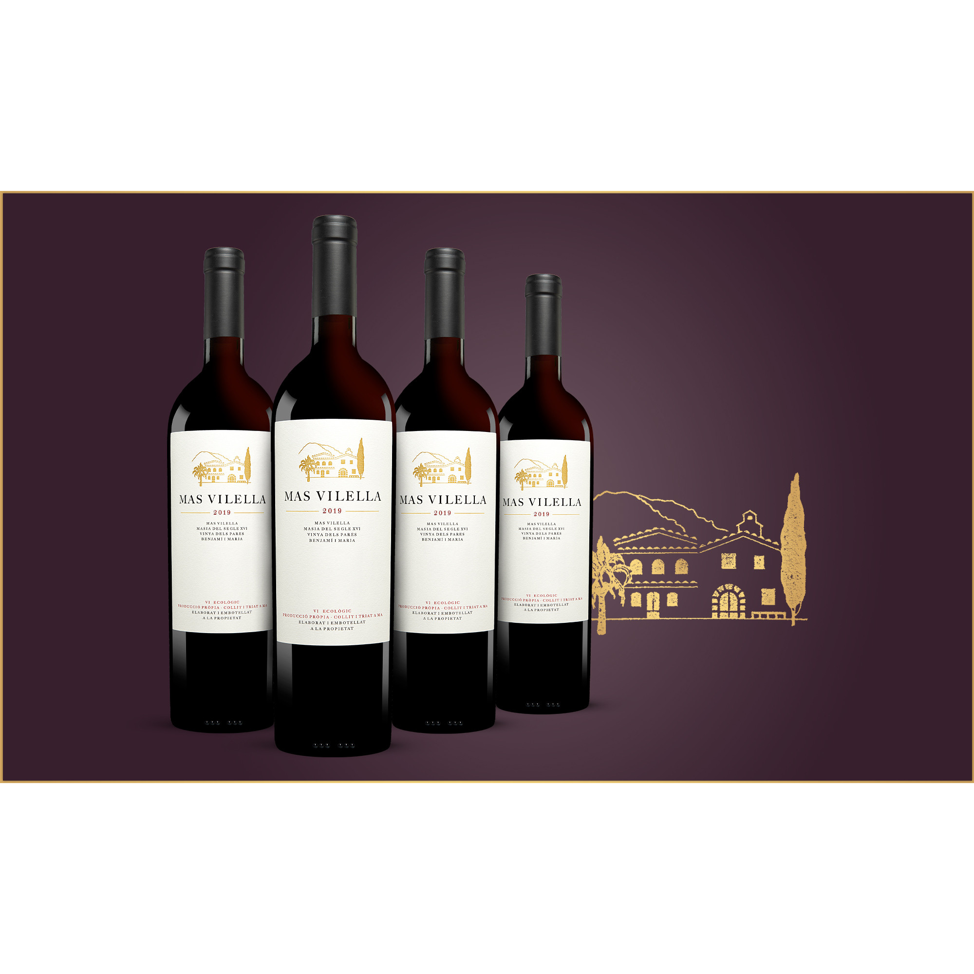 Mas Vilella Negre 2019  3L Trocken Weinpaket aus Spanien 34774 vinos DE