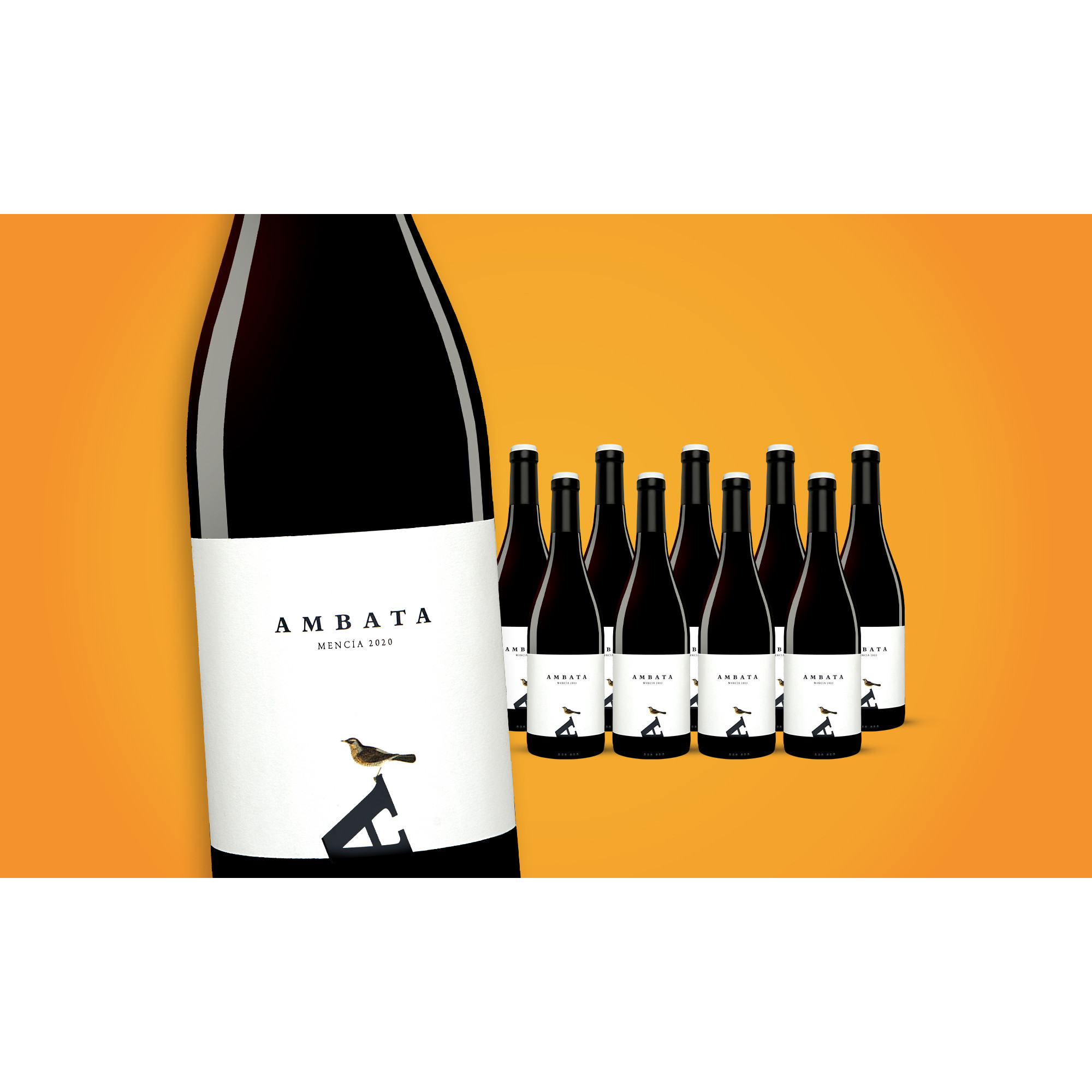 Ambata Mencía 2020  7.5L Trocken Weinpaket aus Spanien 34795 vinos DE