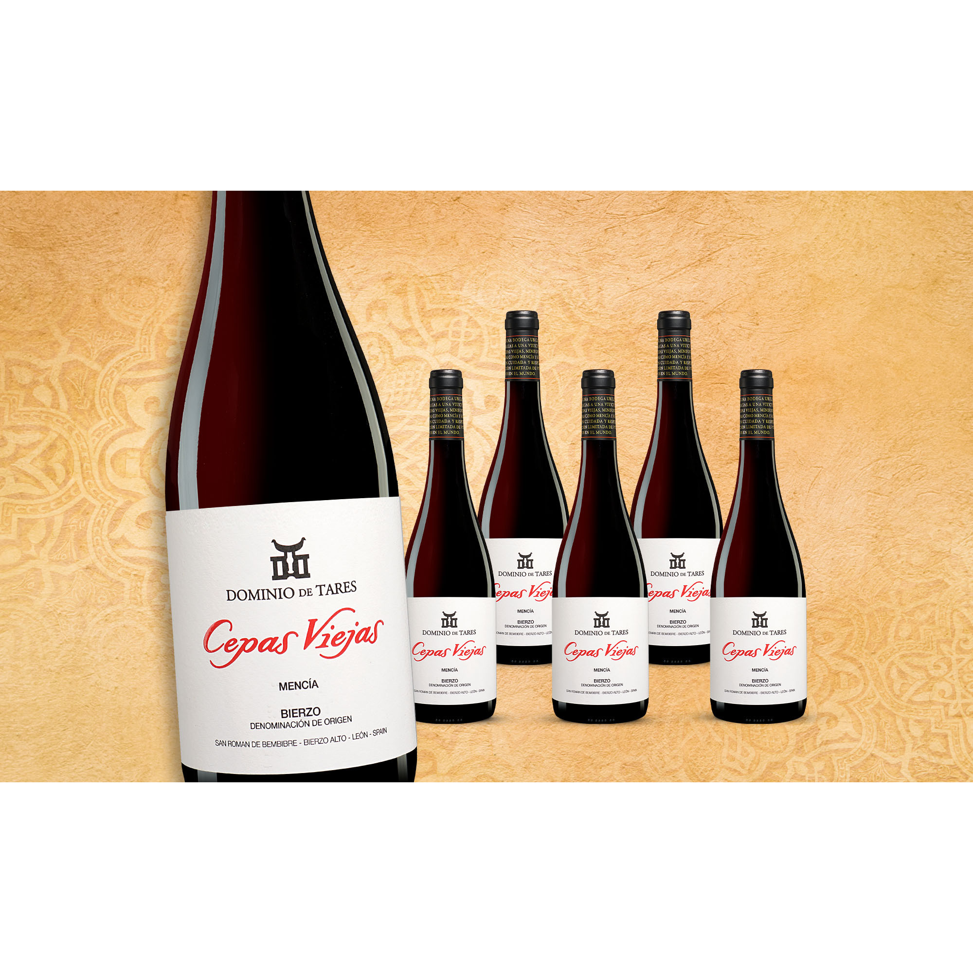 Dominio de Tares »Cepas Viejas« Mencía Jubiläumsedition 2017  4.5L Trocken Weinpaket aus Spanien 34801 vinos DE