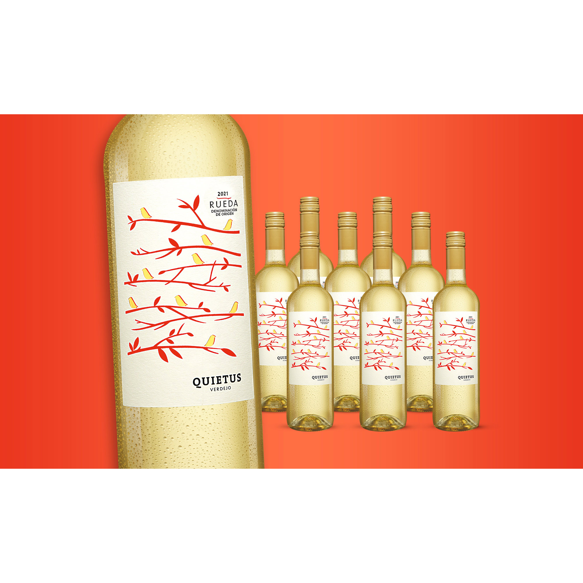 Quietus Verdejo 2021  6.75L Trocken Weinpaket aus Spanien 34923 vinos DE