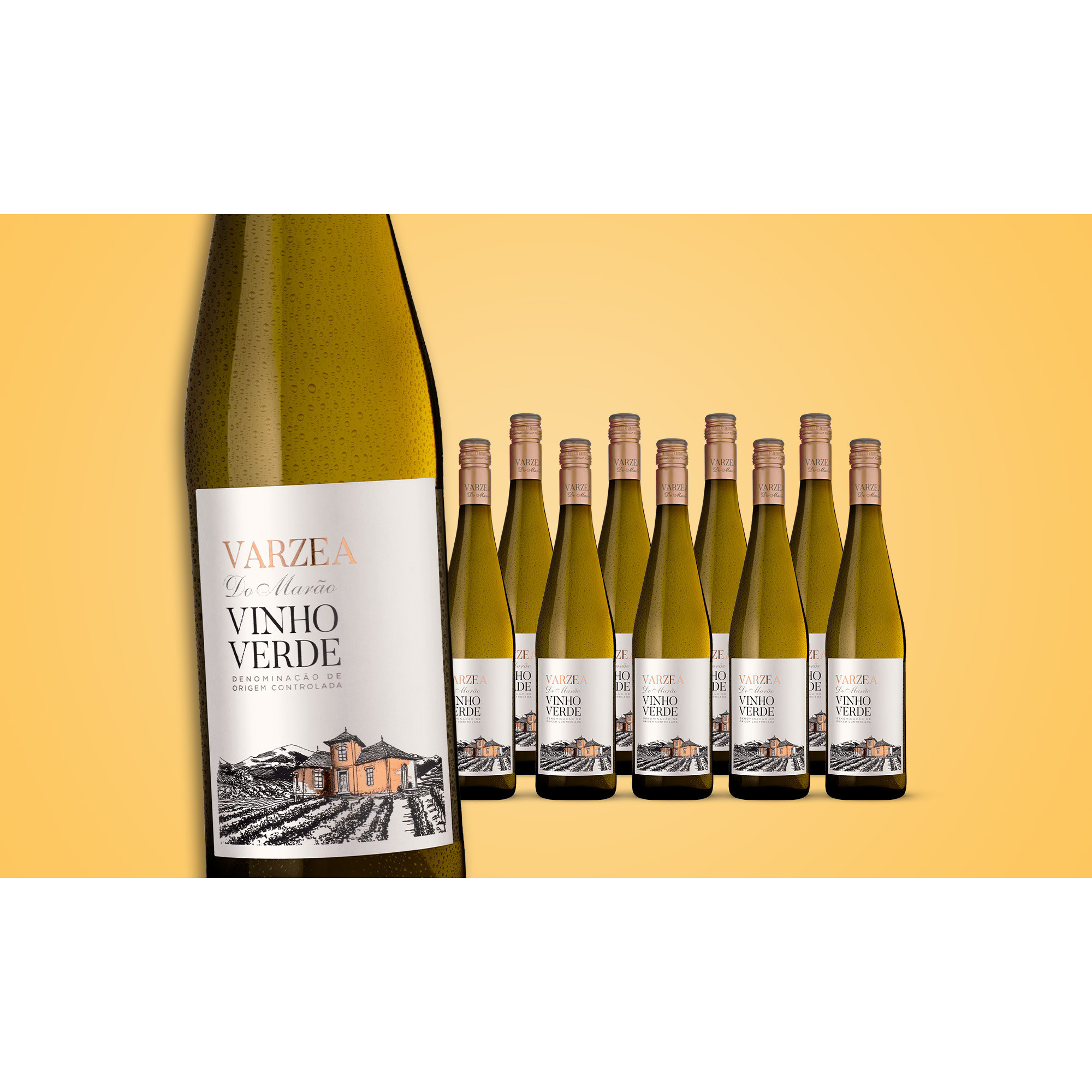 Varzea Do Marão Vinho Verde 2021  7.5L Trocken Weinpaket aus Spanien 34971 vinos DE