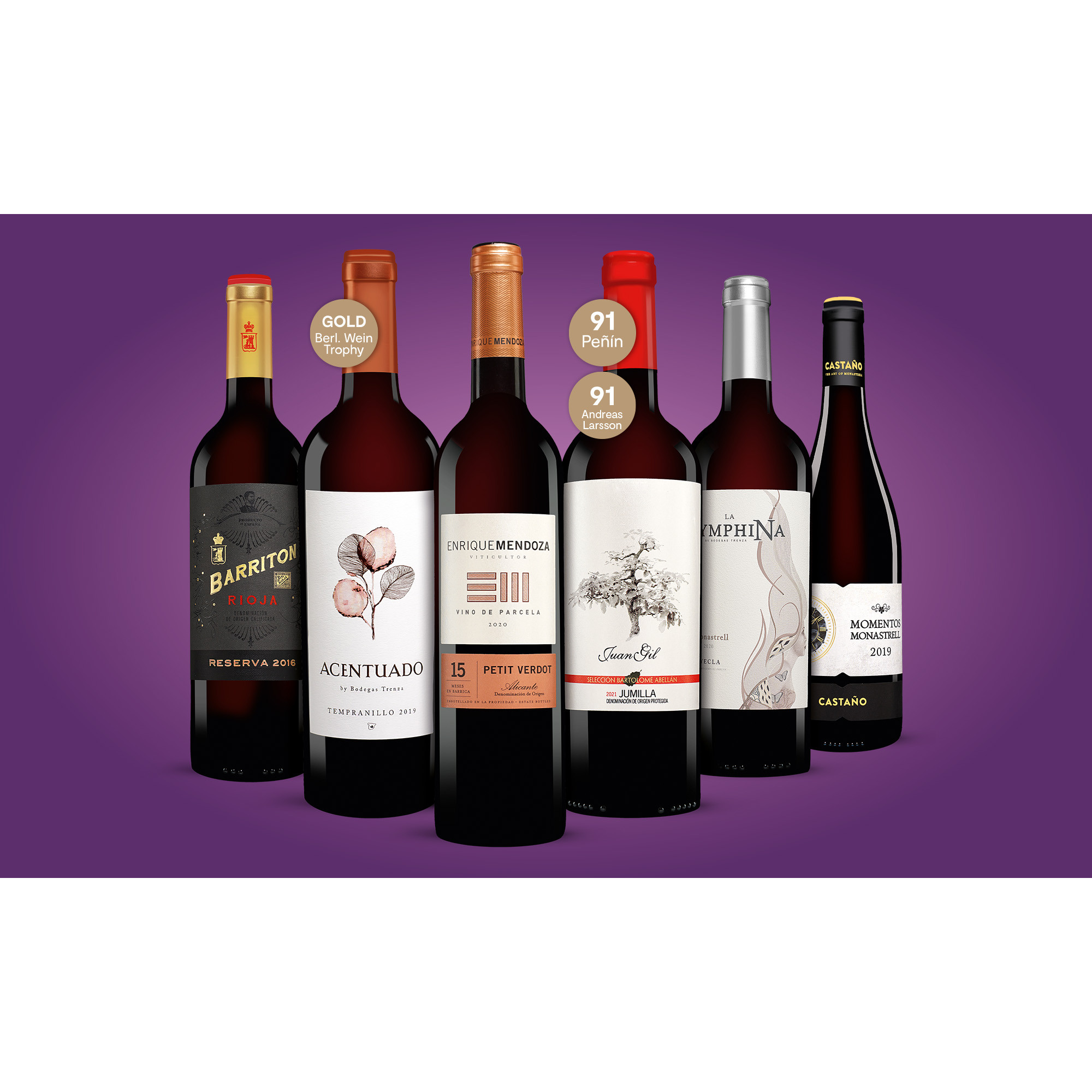 Rotwein Genießer-Paket  4.5L Weinpaket aus Spanien 34976 vinos DE