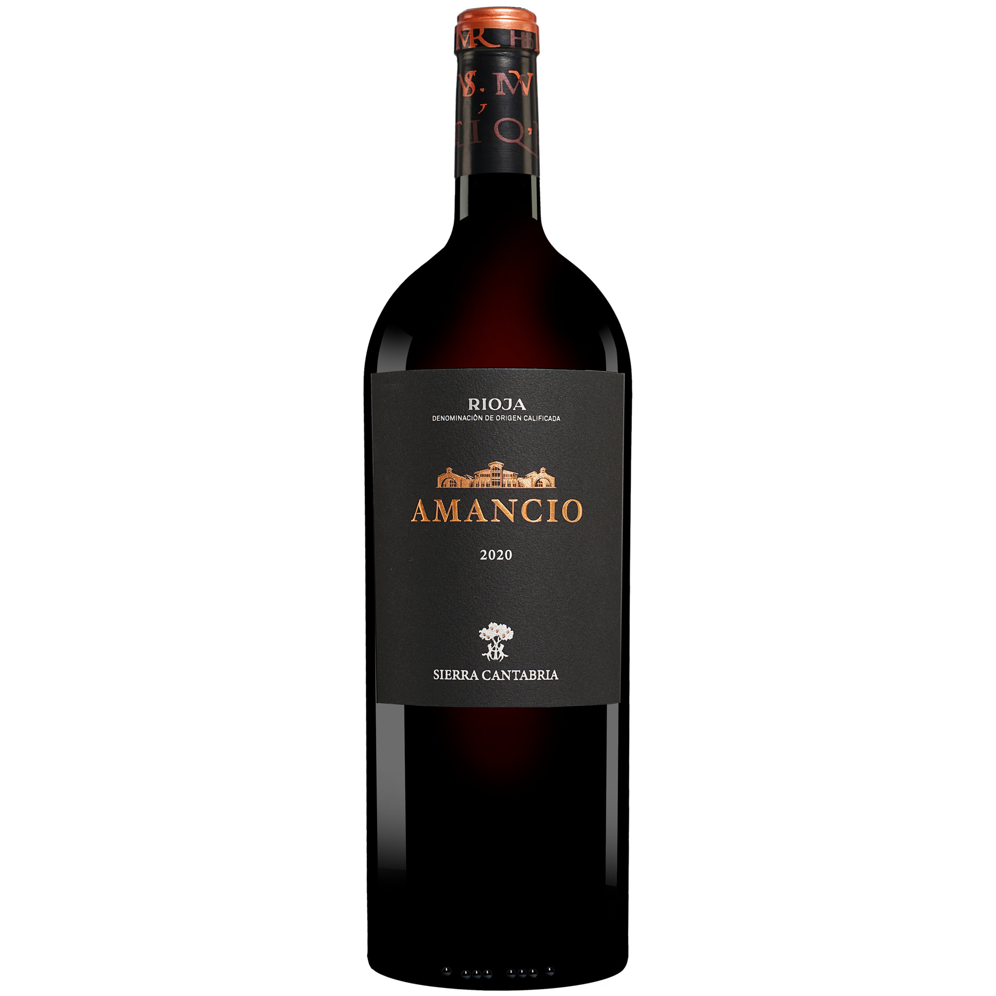 Amancio Reserva - 1,5 L. Magnum 2020  114.5% Vol. Rotwein Trocken aus Spanien