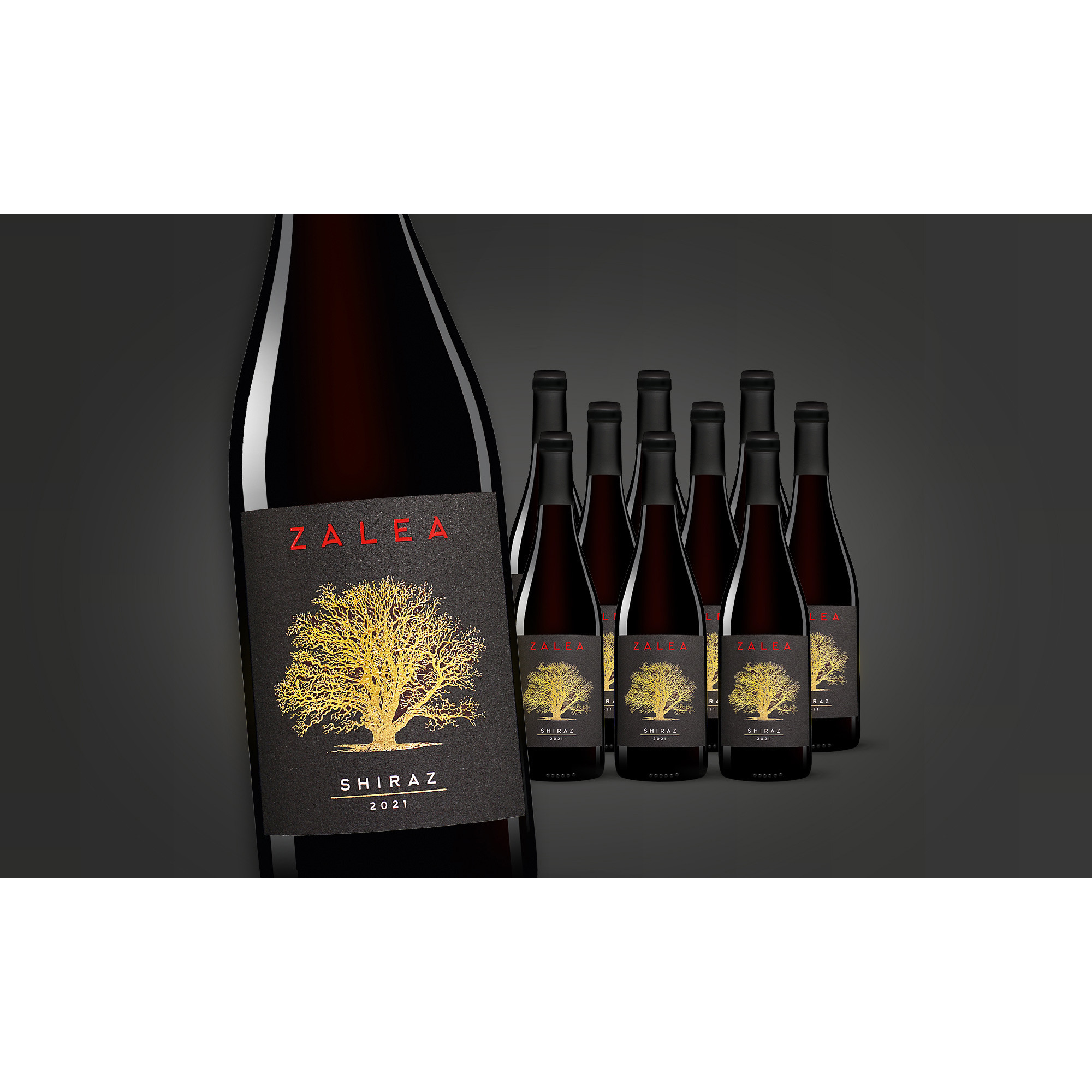 Zalea Shiraz 2021  7.5L 14.5% Vol. Trocken Weinpaket aus Spanien 35049 vinos DE