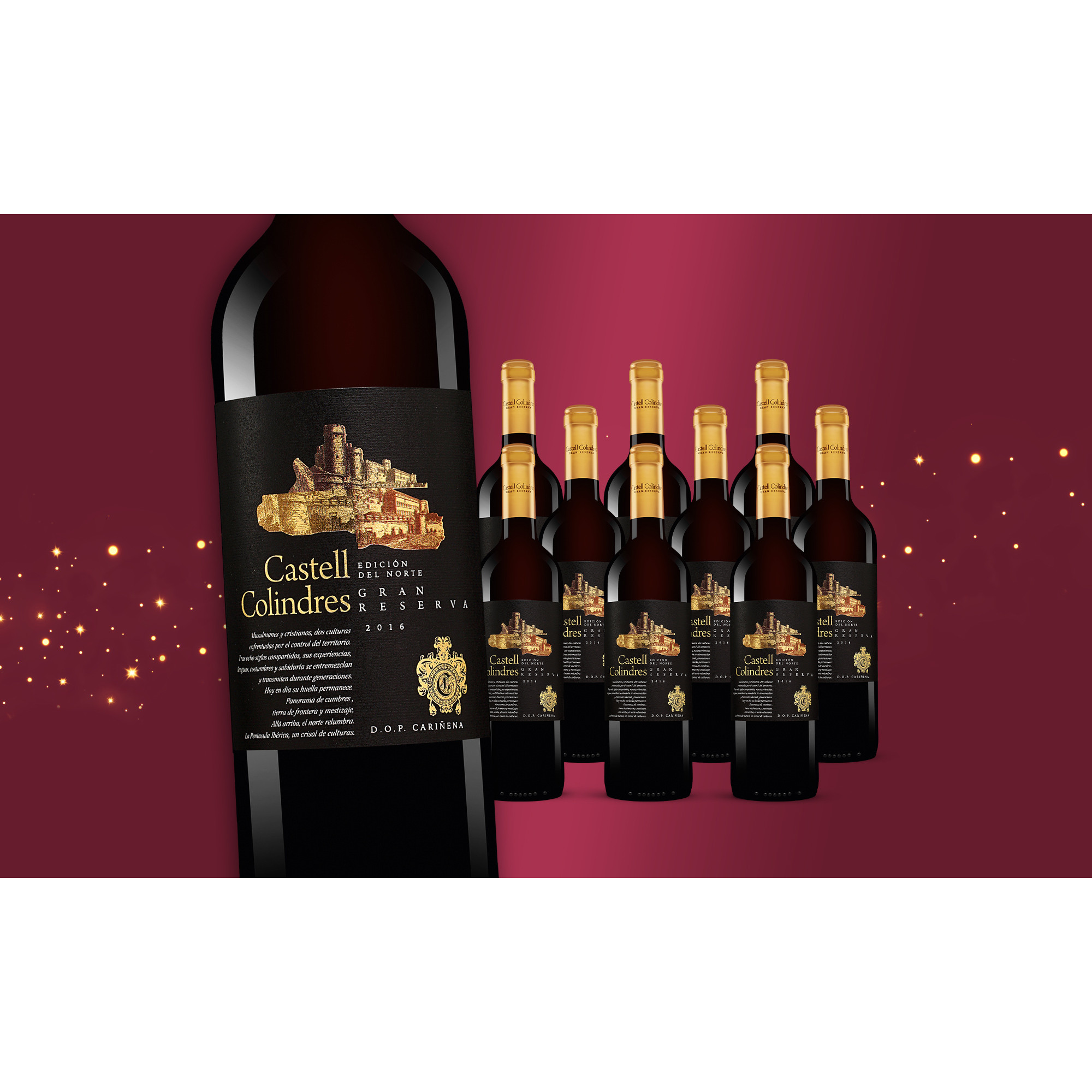 Castell Colindres Gran Reserva Edición del Norte 2016  7.5L 14% Vol. Weinpaket aus Spanien 35072 vinos DE