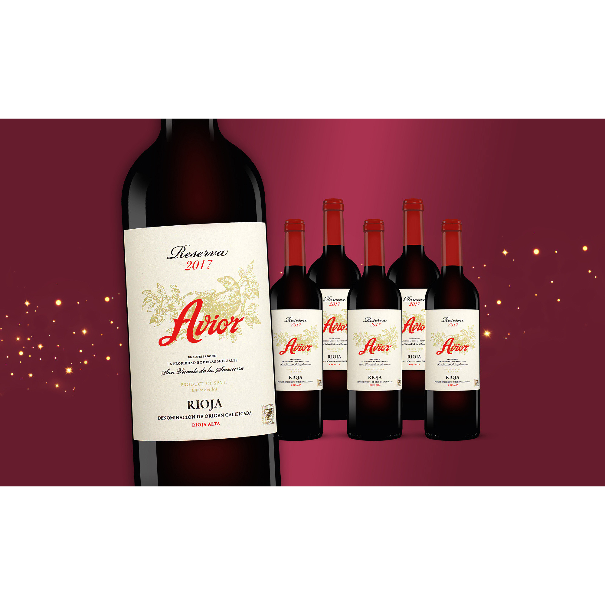 Avior Reserva 2017  4.5L 13.5% Vol. Weinpaket aus Spanien 35079 vinos DE