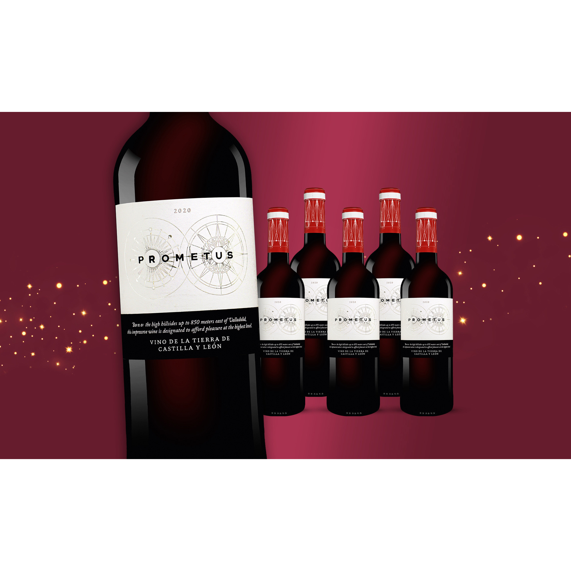 Prometus 2020  4.5L 14% Vol. Weinpaket aus Spanien 35081 vinos DE