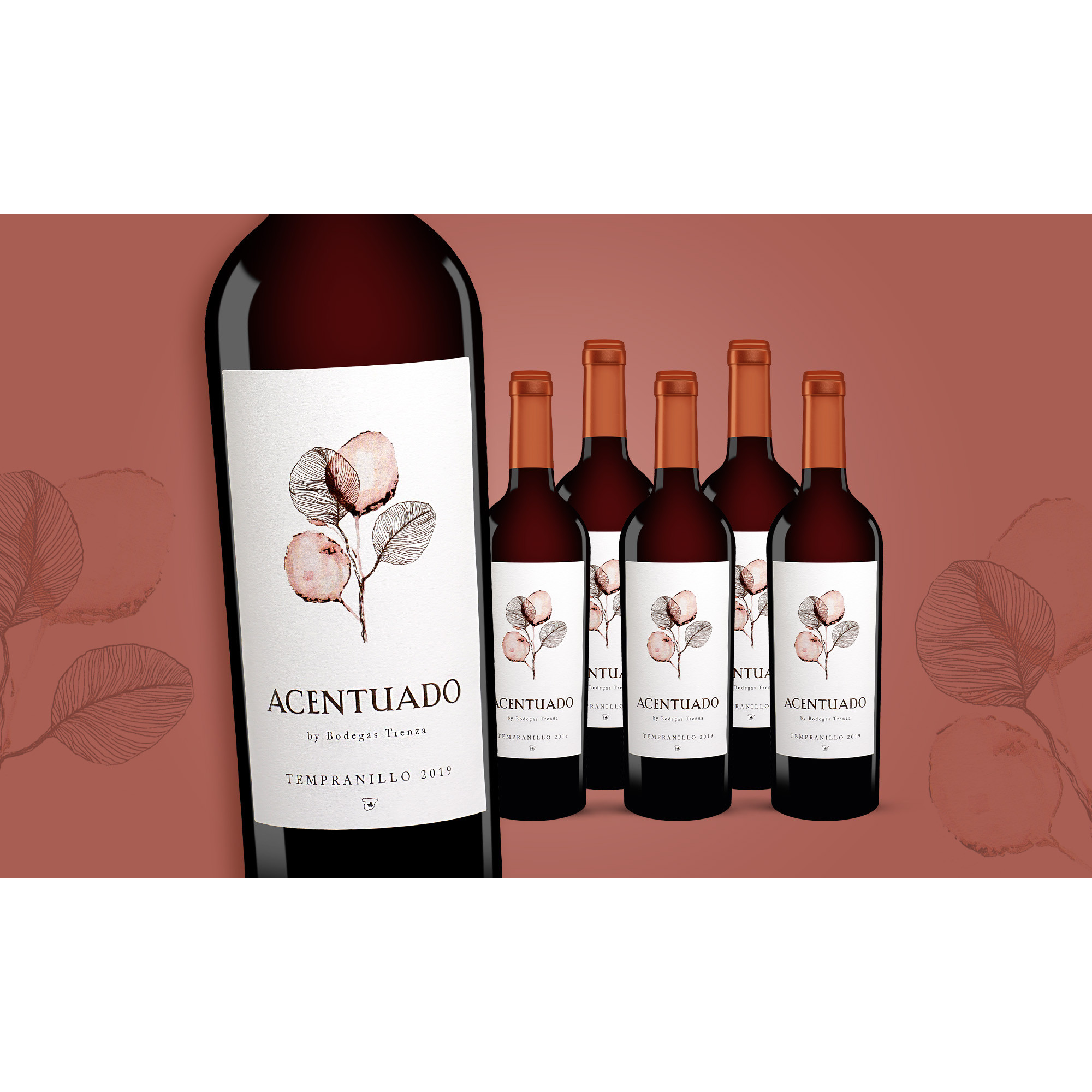 Acentuado Tempranillo 2019  4.5L 14.5% Vol. Trocken Weinpaket aus Spanien 35286 vinos DE