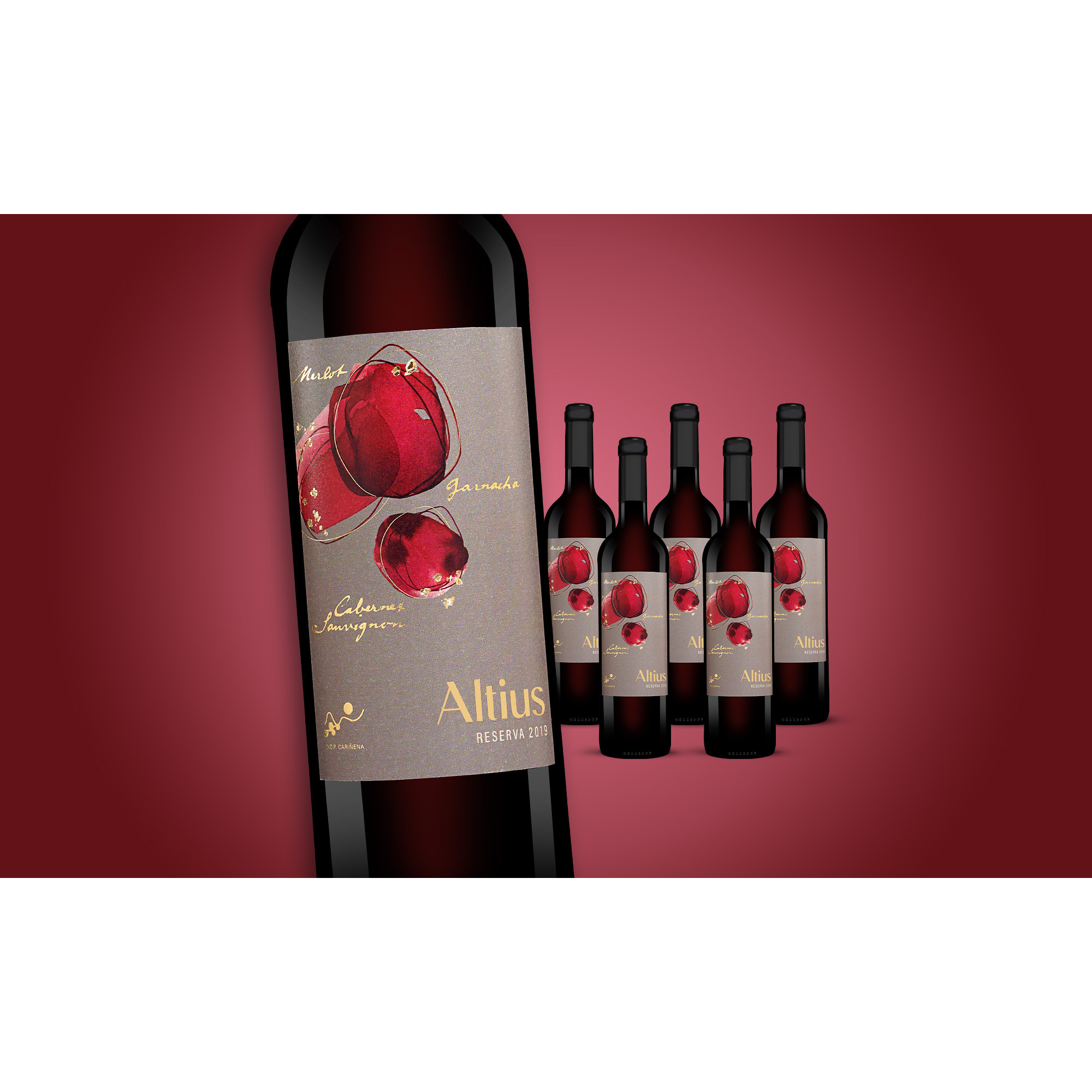 Altius Reserva 2019  4.5L 14.5% Vol. Trocken Weinpaket aus Spanien 35367 vinos DE
