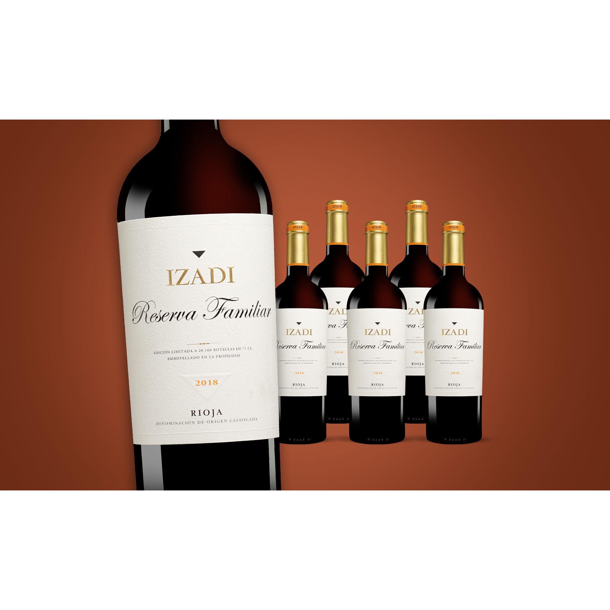 Izadi Tinto »Reserva Familiar« Reserva 2018  4.5L 14.5% Vol. Trocken Weinpaket aus Spanien 35373 vinos DE