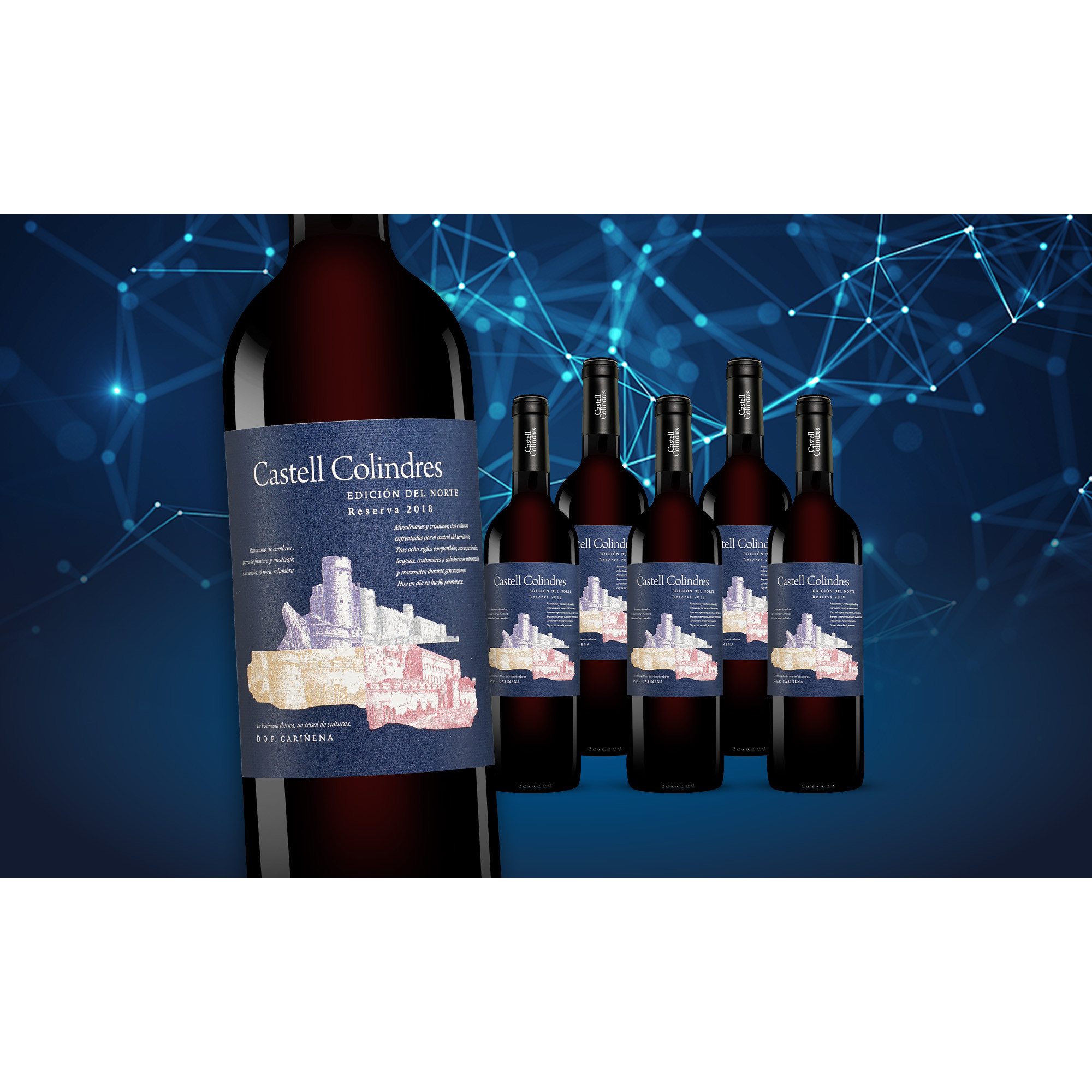 Castell Colindres Reserva Edición del Norte 2018  4.5L 14% Vol. Weinpaket aus Spanien 35573 vinos DE