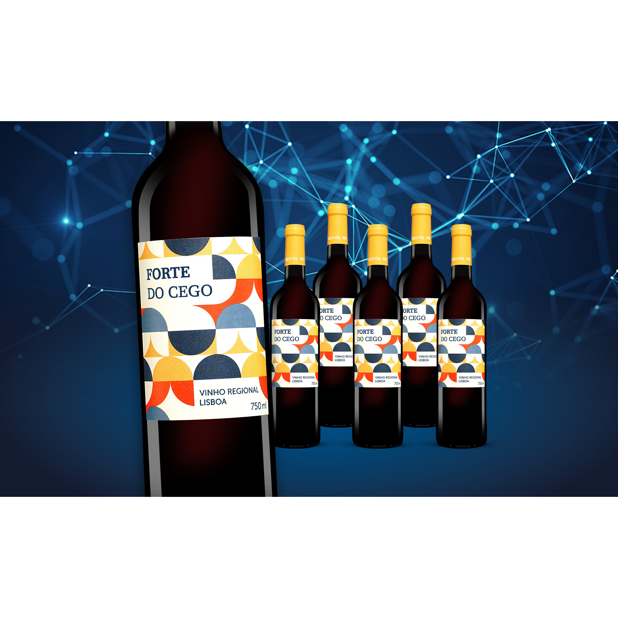 Forte do Cego 2020  4.5L 13% Vol. Weinpaket aus Spanien 35578 vinos DE