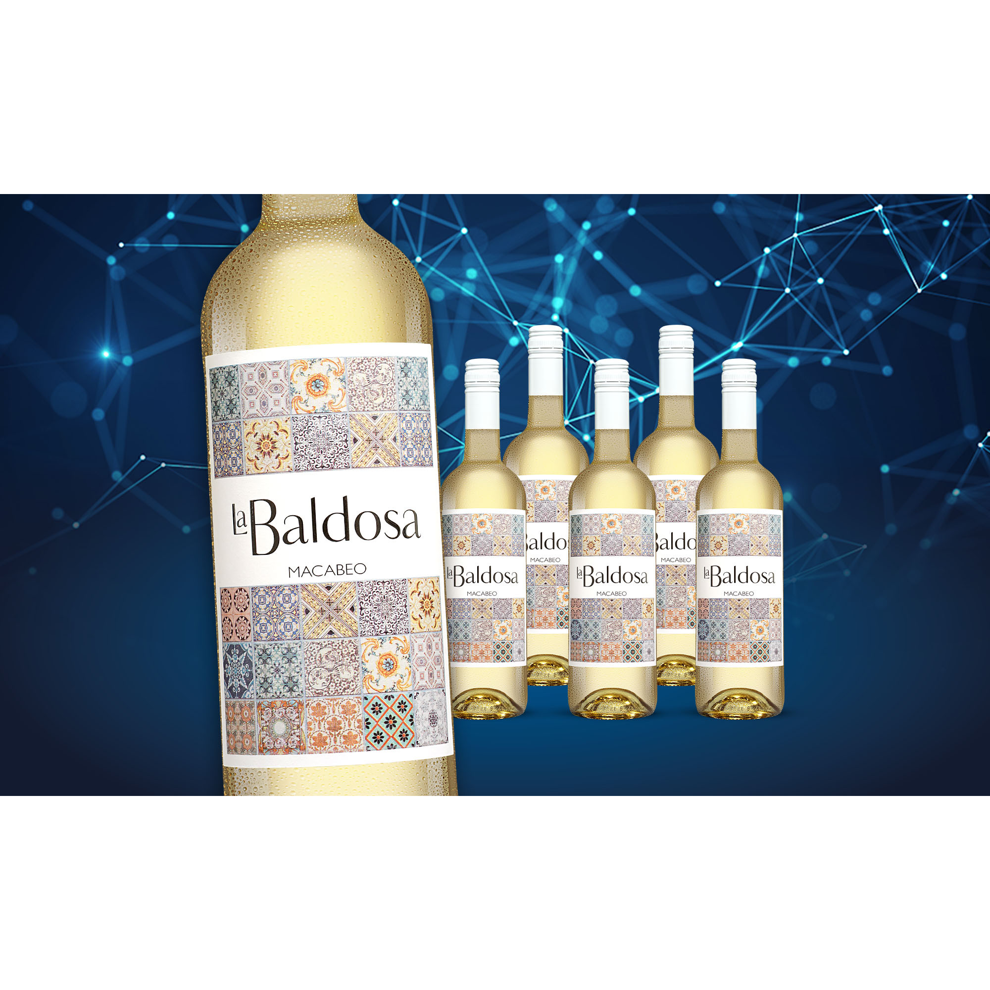 la Baldosa Blanco 2021  4.5L 12% Vol. Weinpaket aus Spanien 35580 vinos DE