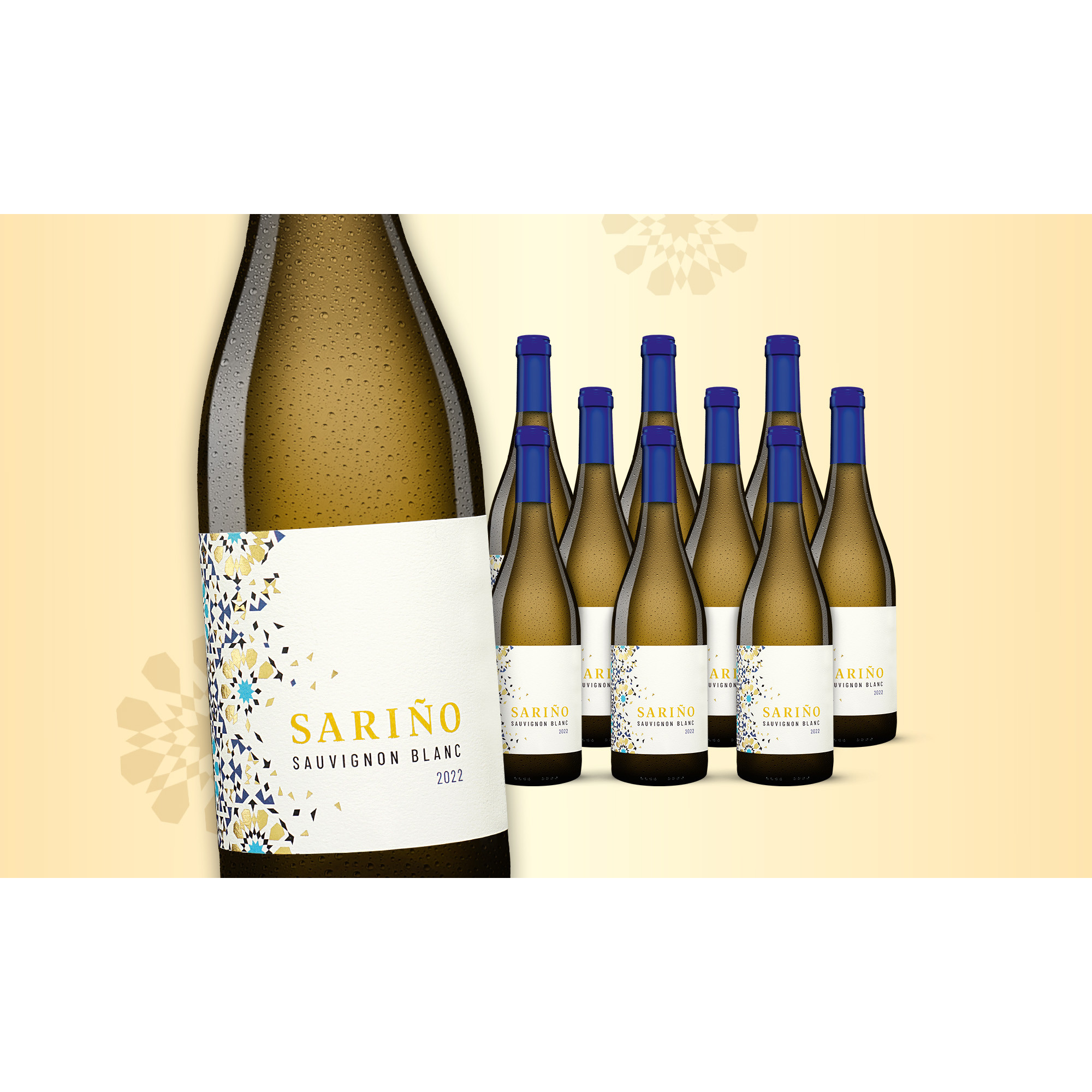 Sariño Sauvignon Blanc 2022  7.5L 12.5% Vol. Weinpaket aus Spanien 35627 vinos DE