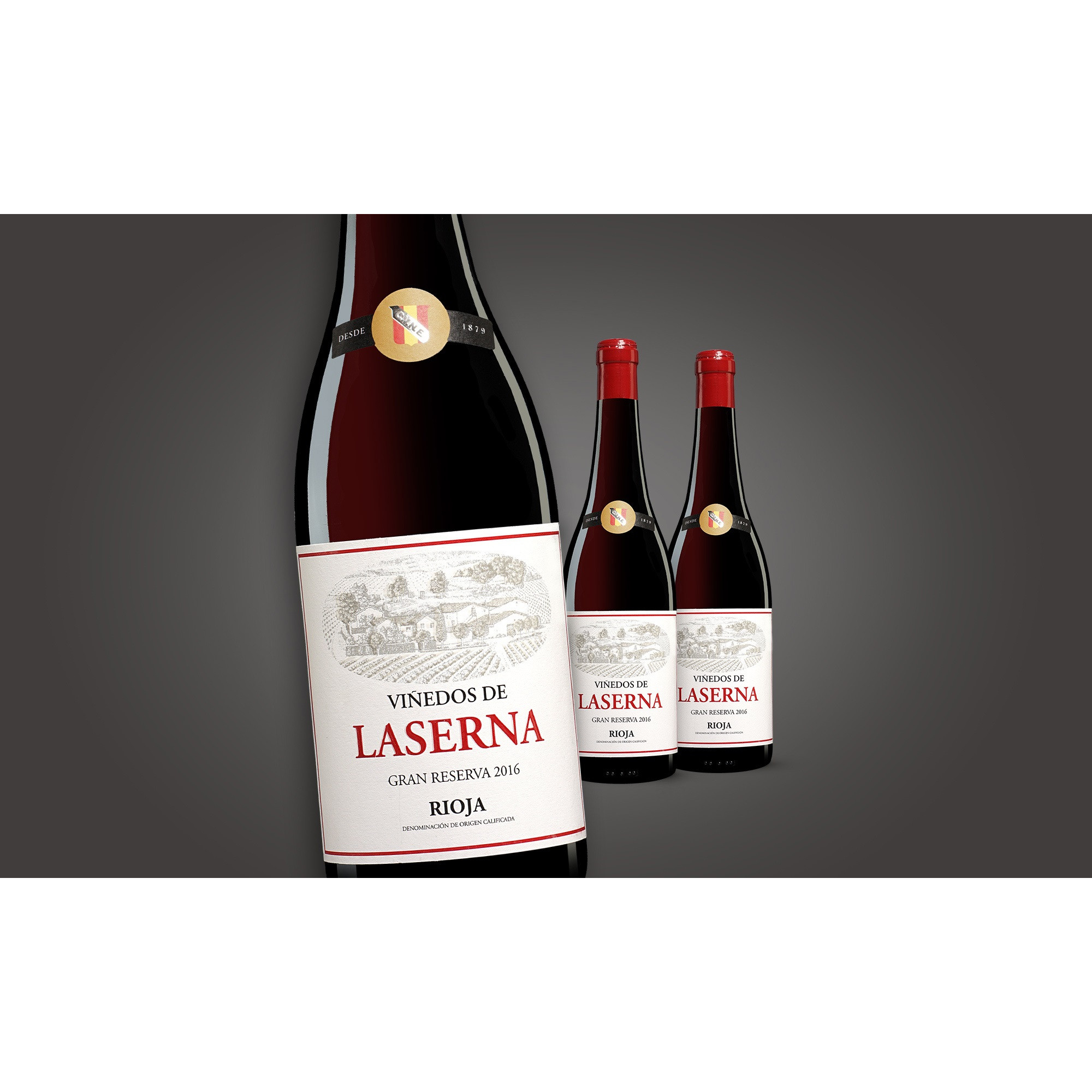 Viñedos de Laserna Gran Reserva 2016  2.25L 13.5% Vol. Weinpaket aus Spanien 35660 vinos DE