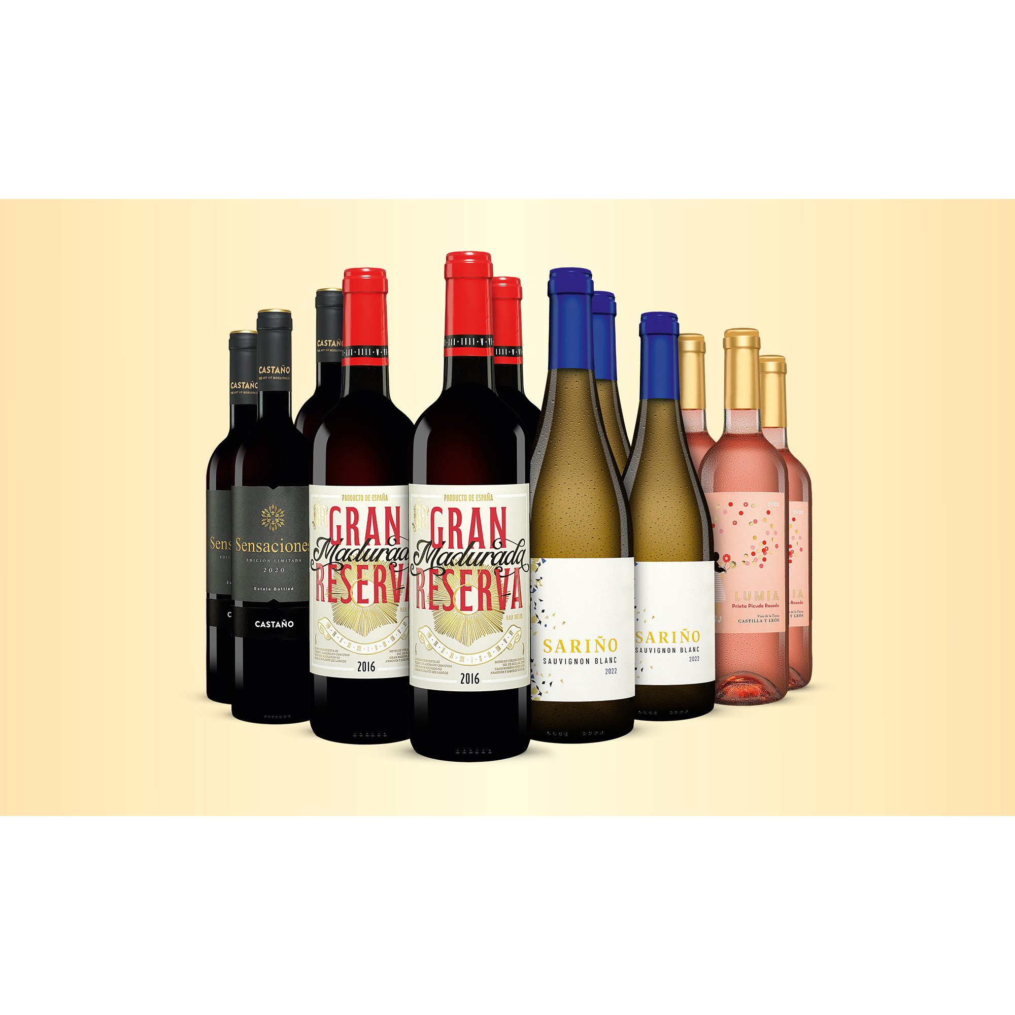 März Genießer-Paket  9L Weinpaket aus Spanien 35970 vinos DE