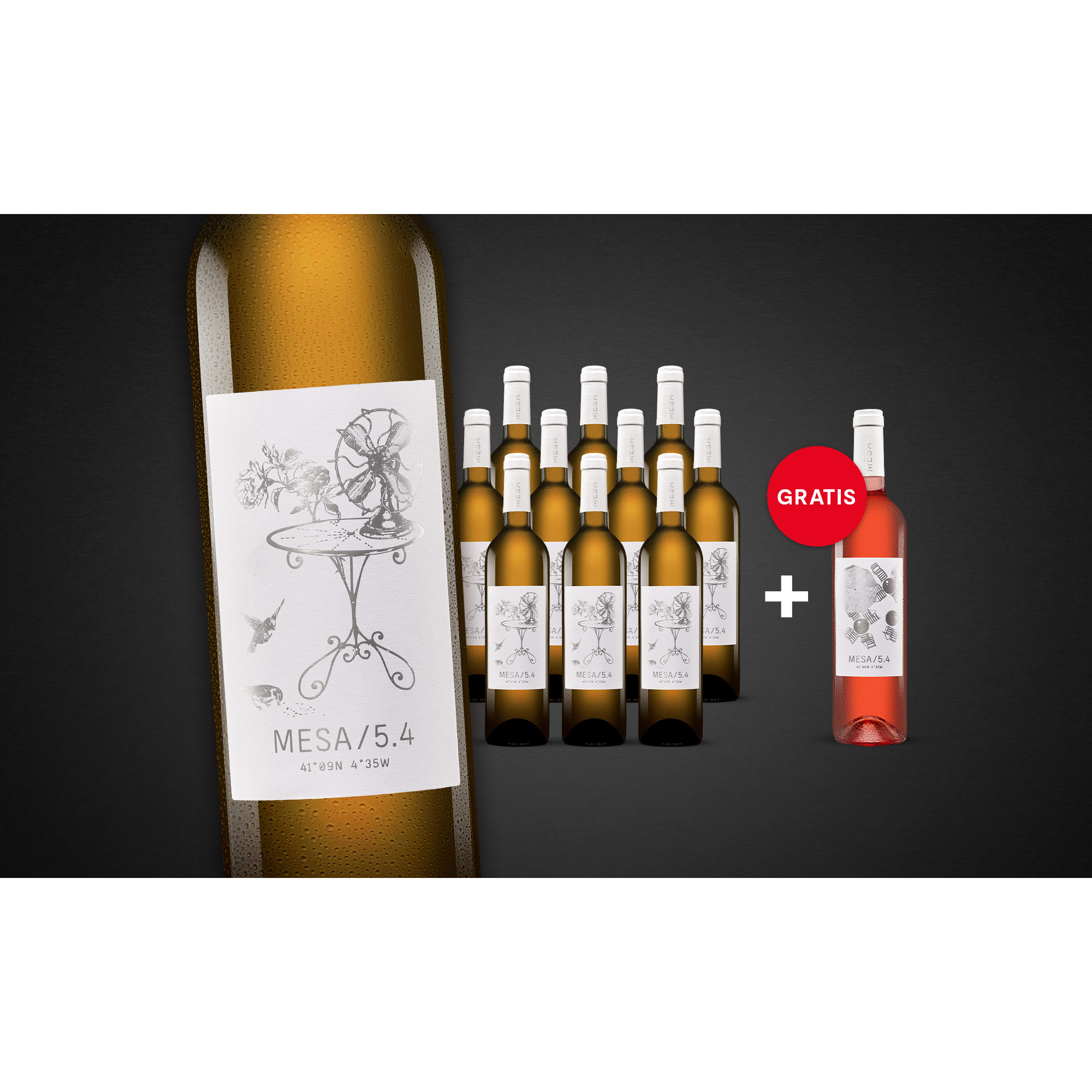 MESA/5.4 Blanco  9L 12.5% Vol. Weinpaket aus Spanien 35975 vinos DE