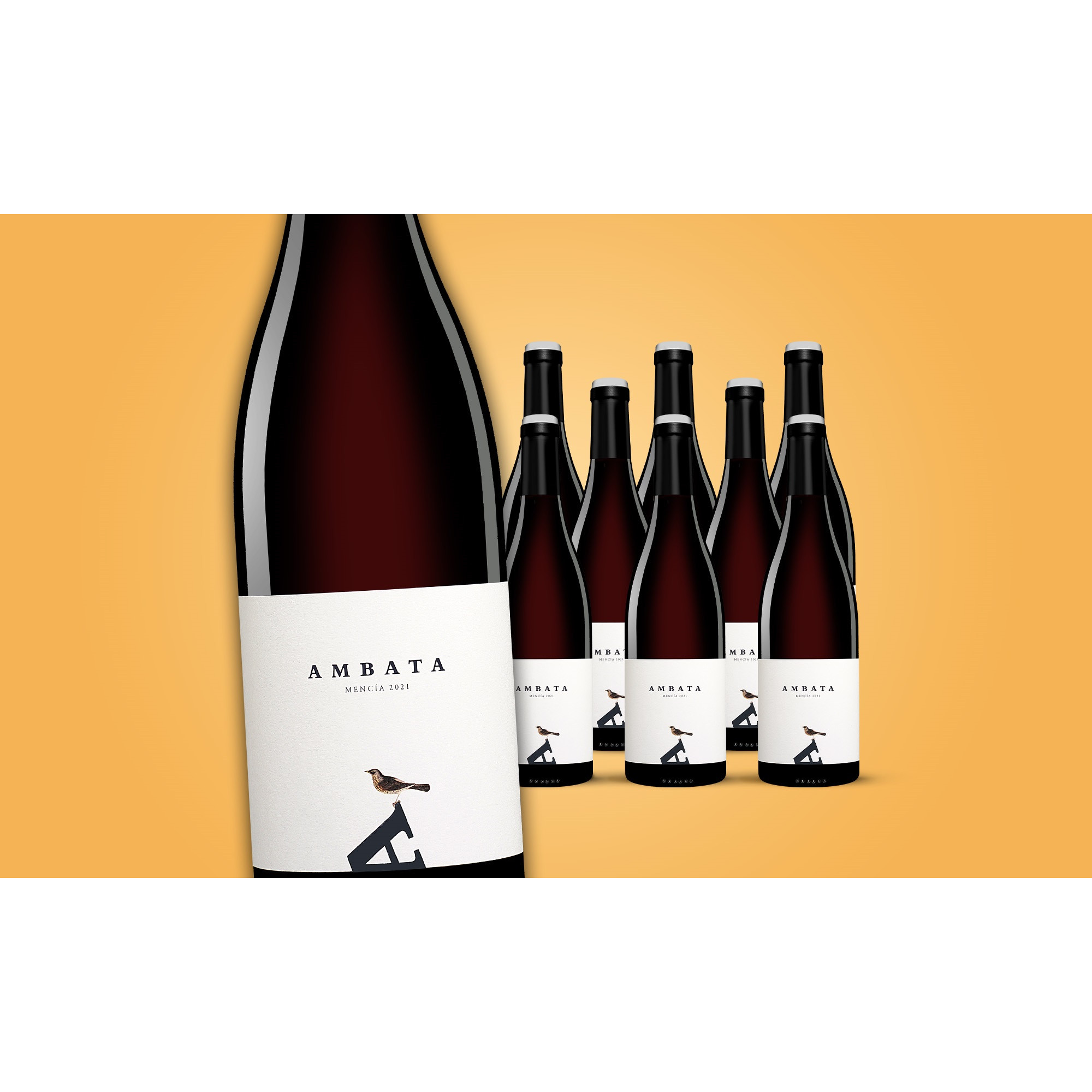 Ambata Mencía 2021  6.75L 13% Vol. Weinpaket aus Spanien 35976 vinos DE