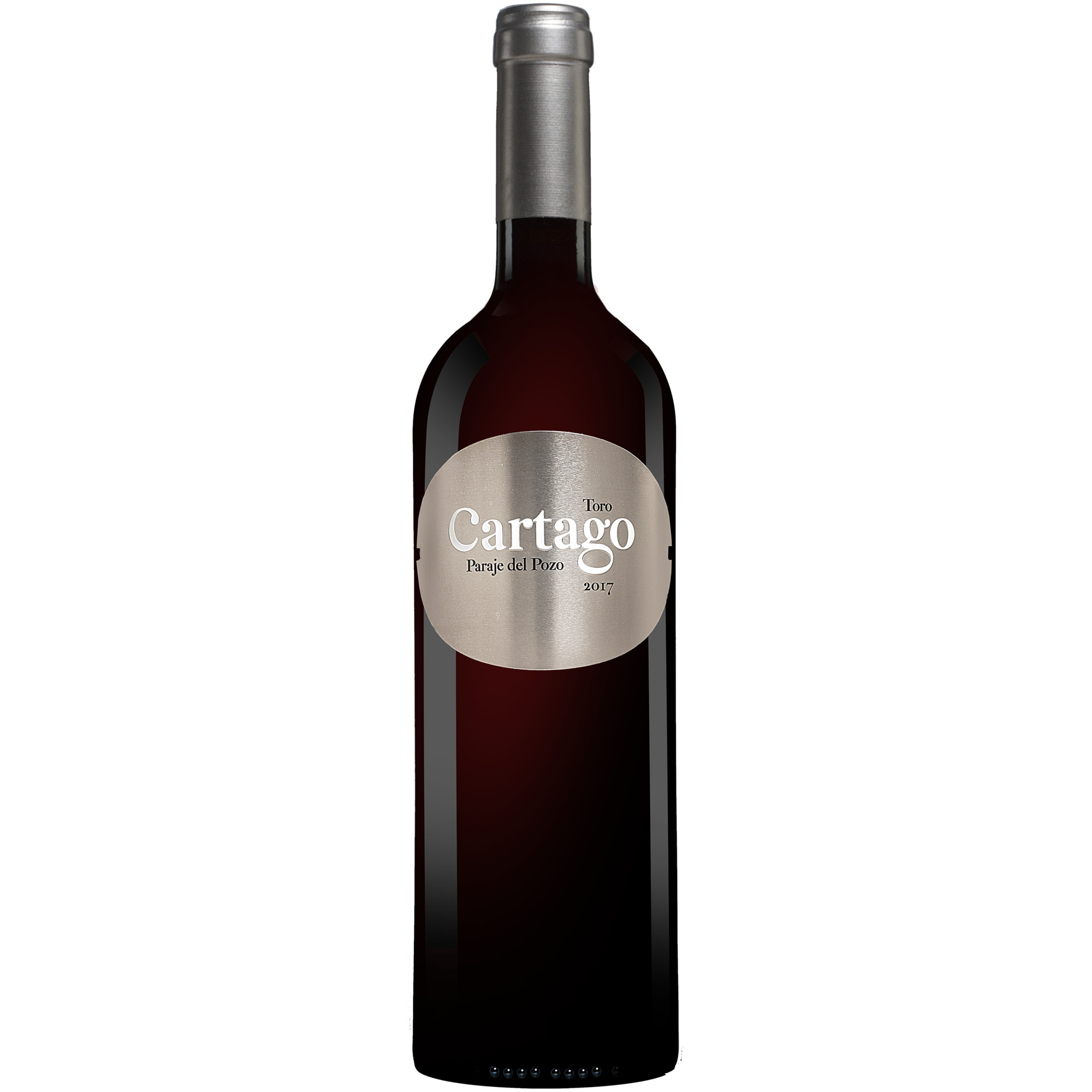 Cartago Paraje del Pozo 2017  014.5% Vol. Rotwein Trocken aus Spanien