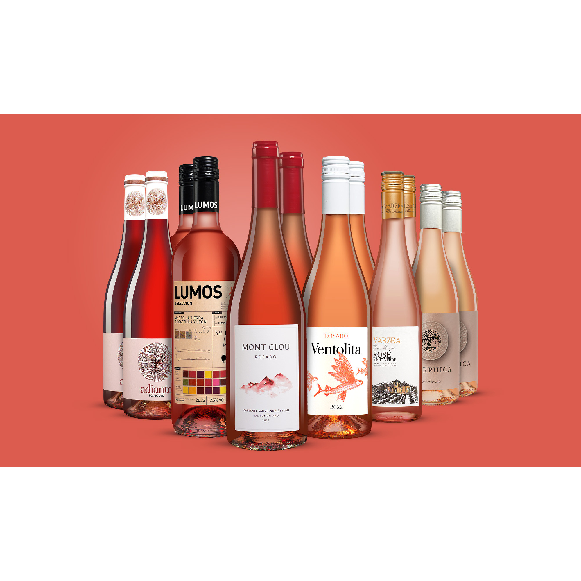 Rosé-Genießer-Paket  9L Weinpaket aus Spanien 36038 vinos DE