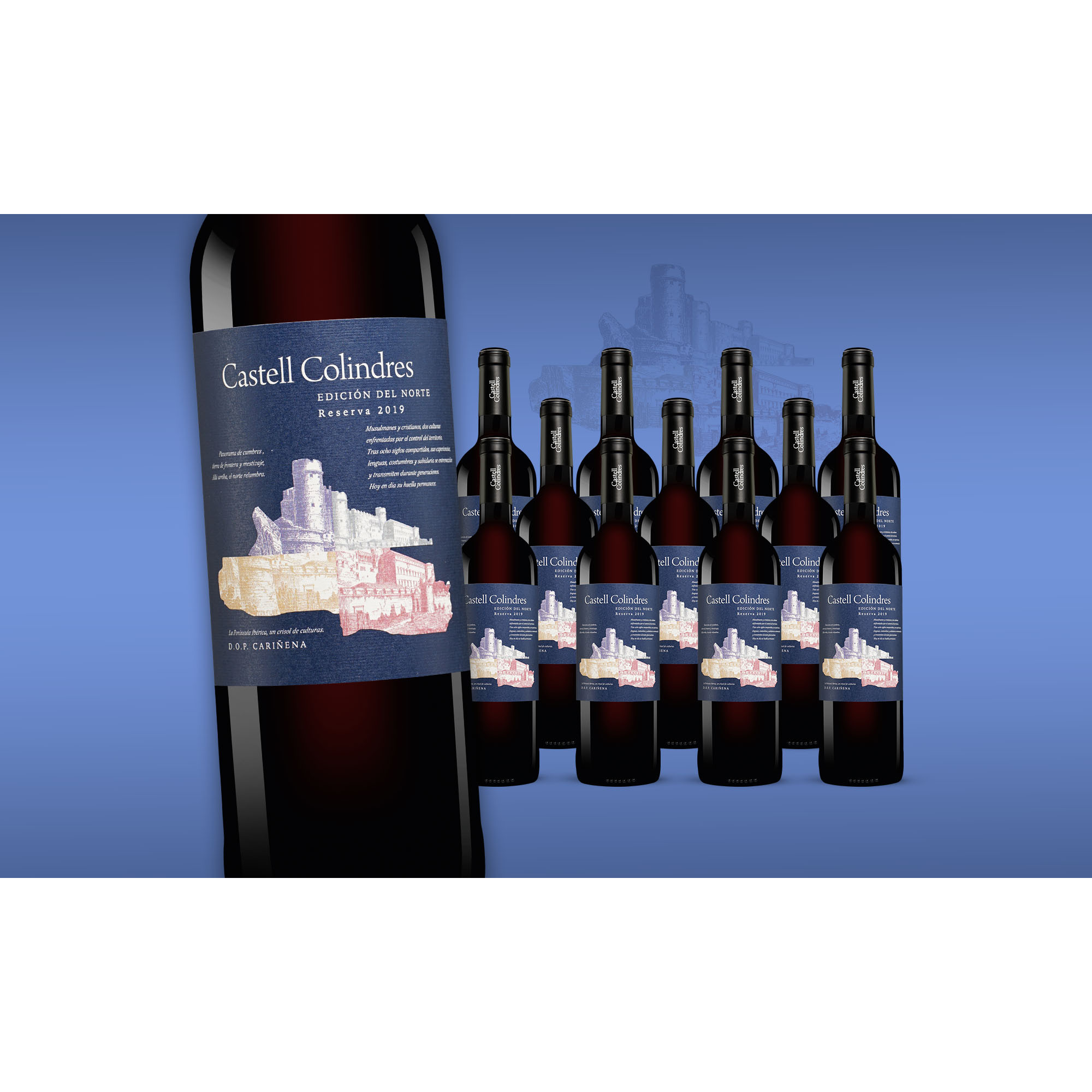 Castell Colindres Reserva Edición del Norte 2019  9L 14% Vol. Weinpaket aus Spanien 36063 vinos DE