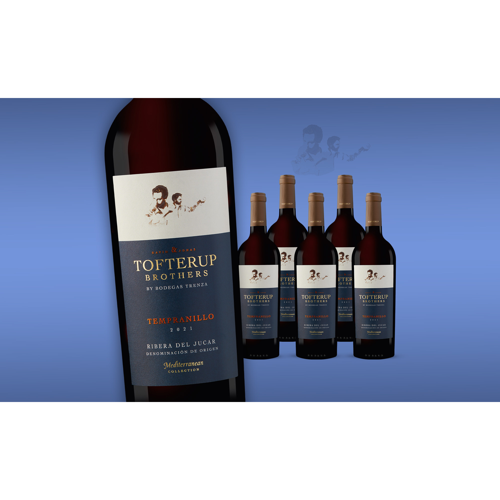 Tofterup Brothers Tempranillo 2021  4.5L 14% Vol. Weinpaket aus Spanien 36064 vinos DE