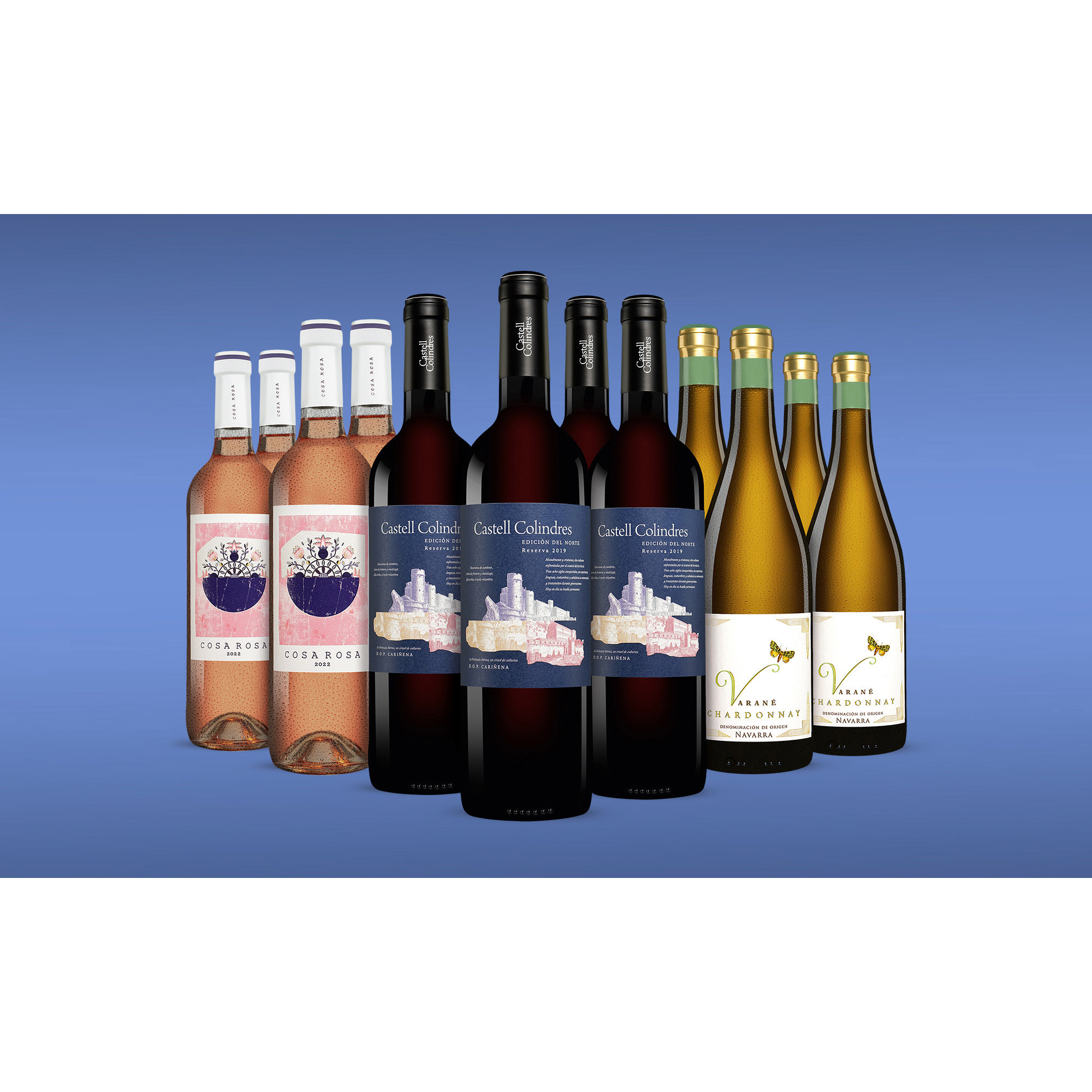 April Genießer-Paket  9L Weinpaket aus Spanien 36068 vinos DE
