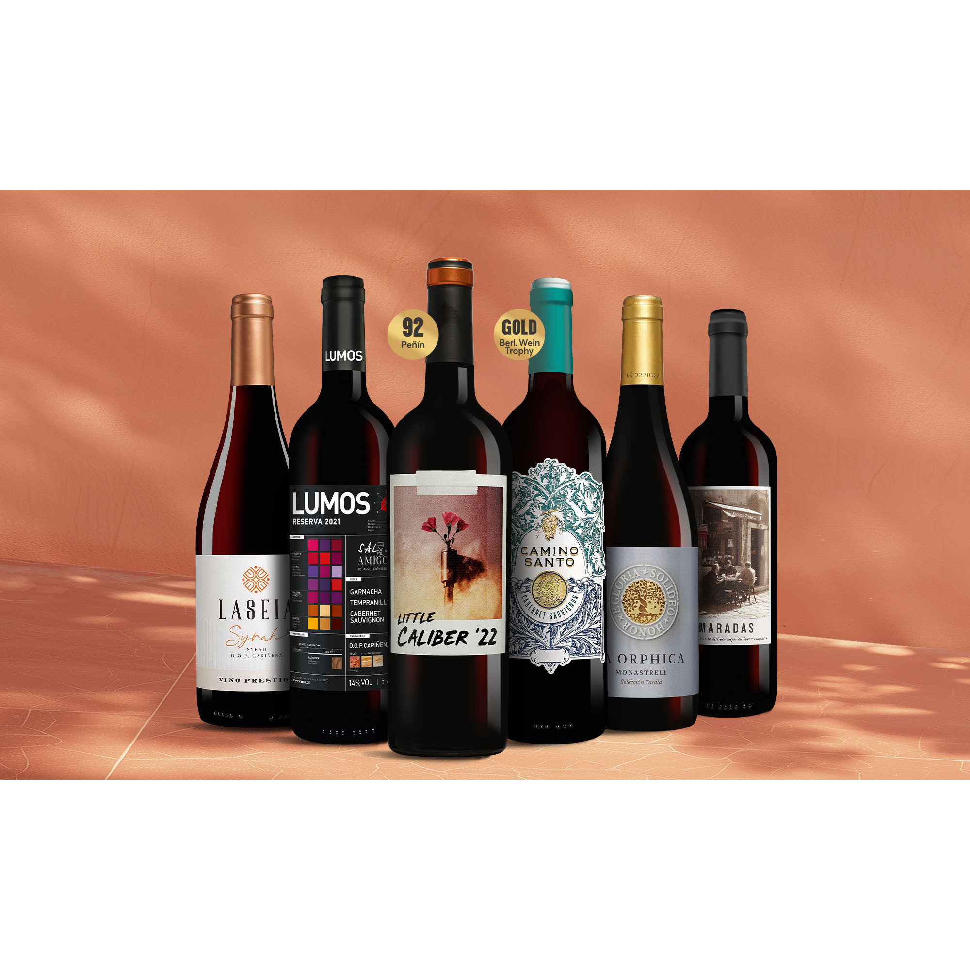 Tinto-Favoriten 4 Weinpaket aus Spanien
