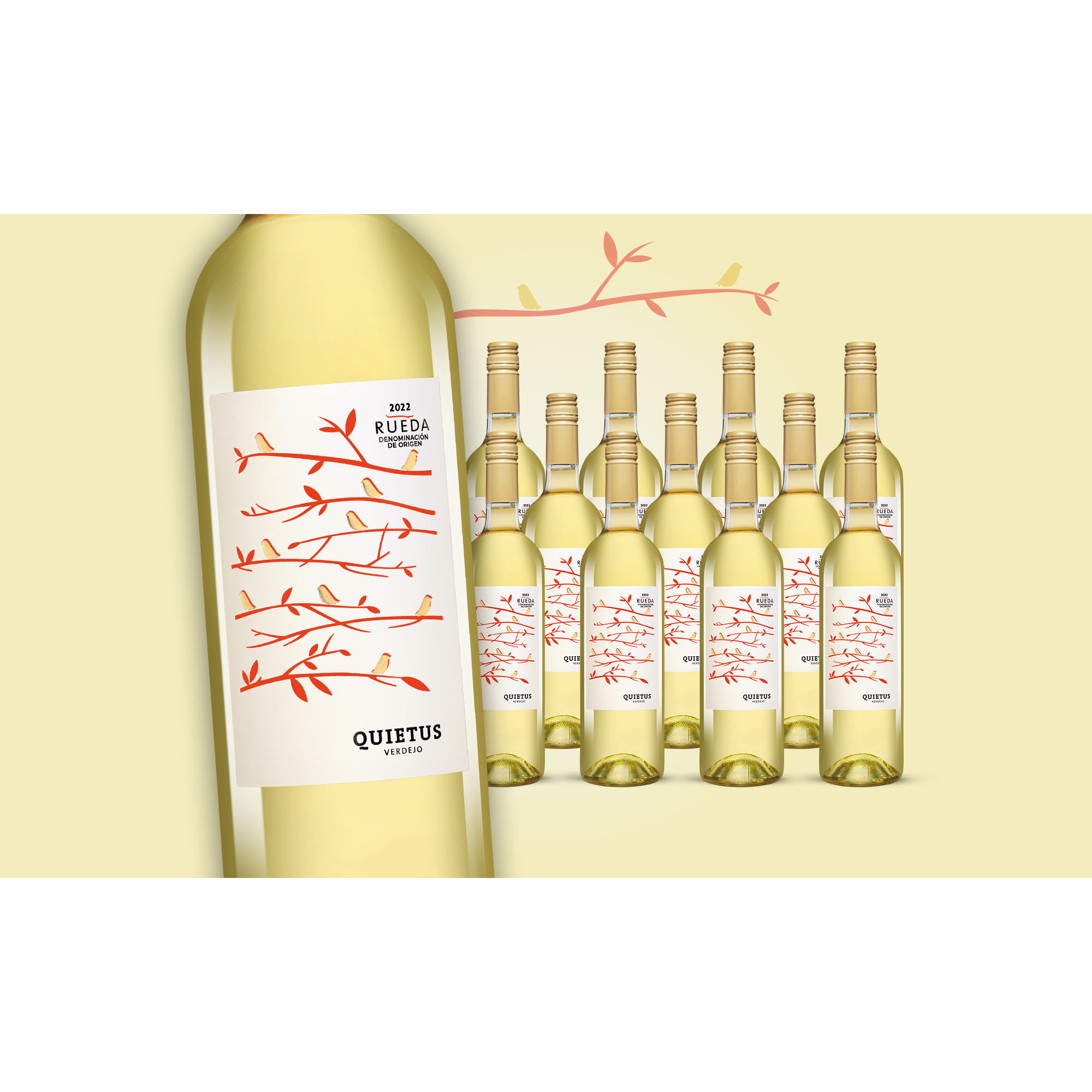 Quietus Verdejo 2022  9L 12.5% Vol. Weinpaket aus Spanien 36288 vinos DE