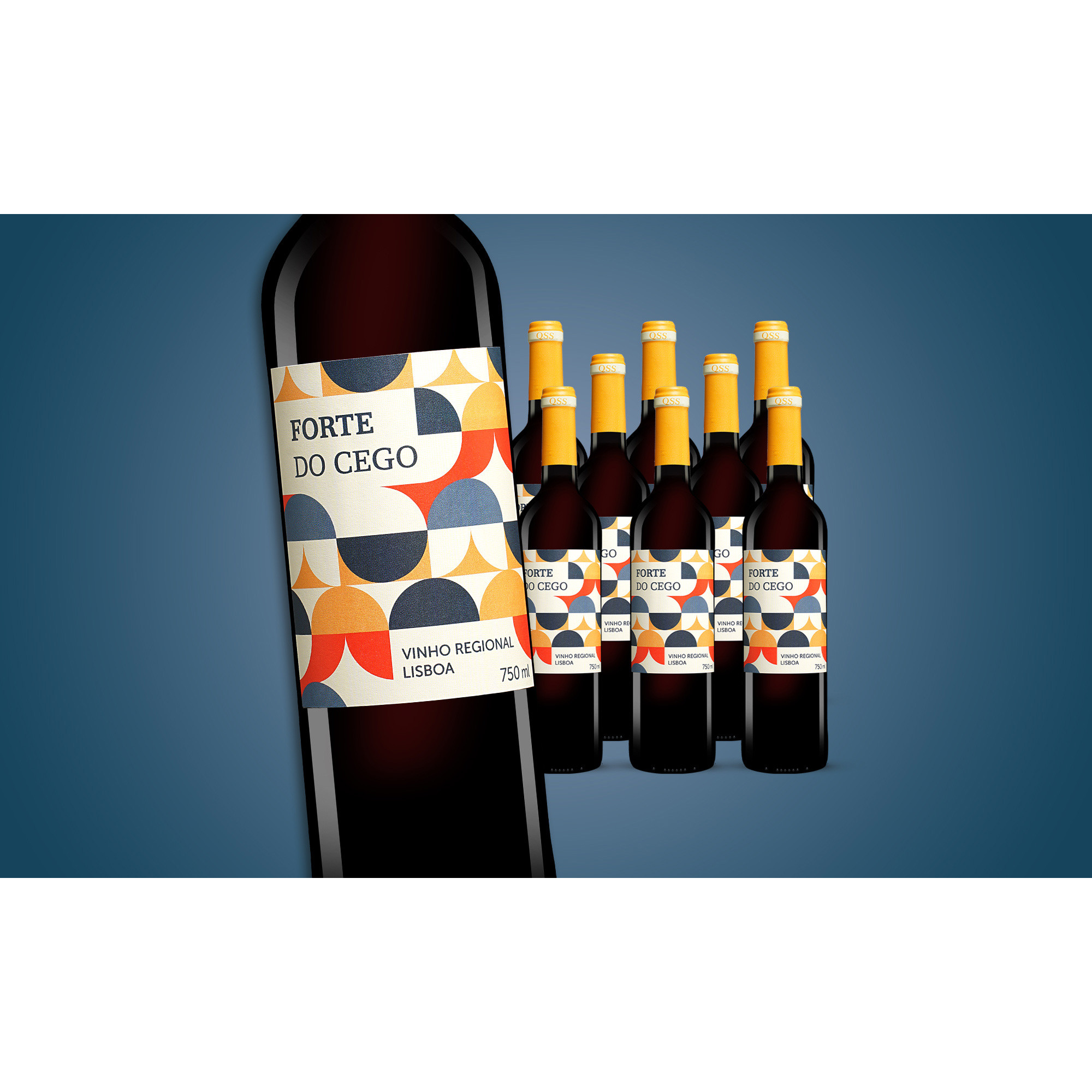 Forte do Cego 2021  6.75L 13% Vol. Weinpaket aus Spanien 36300 vinos DE