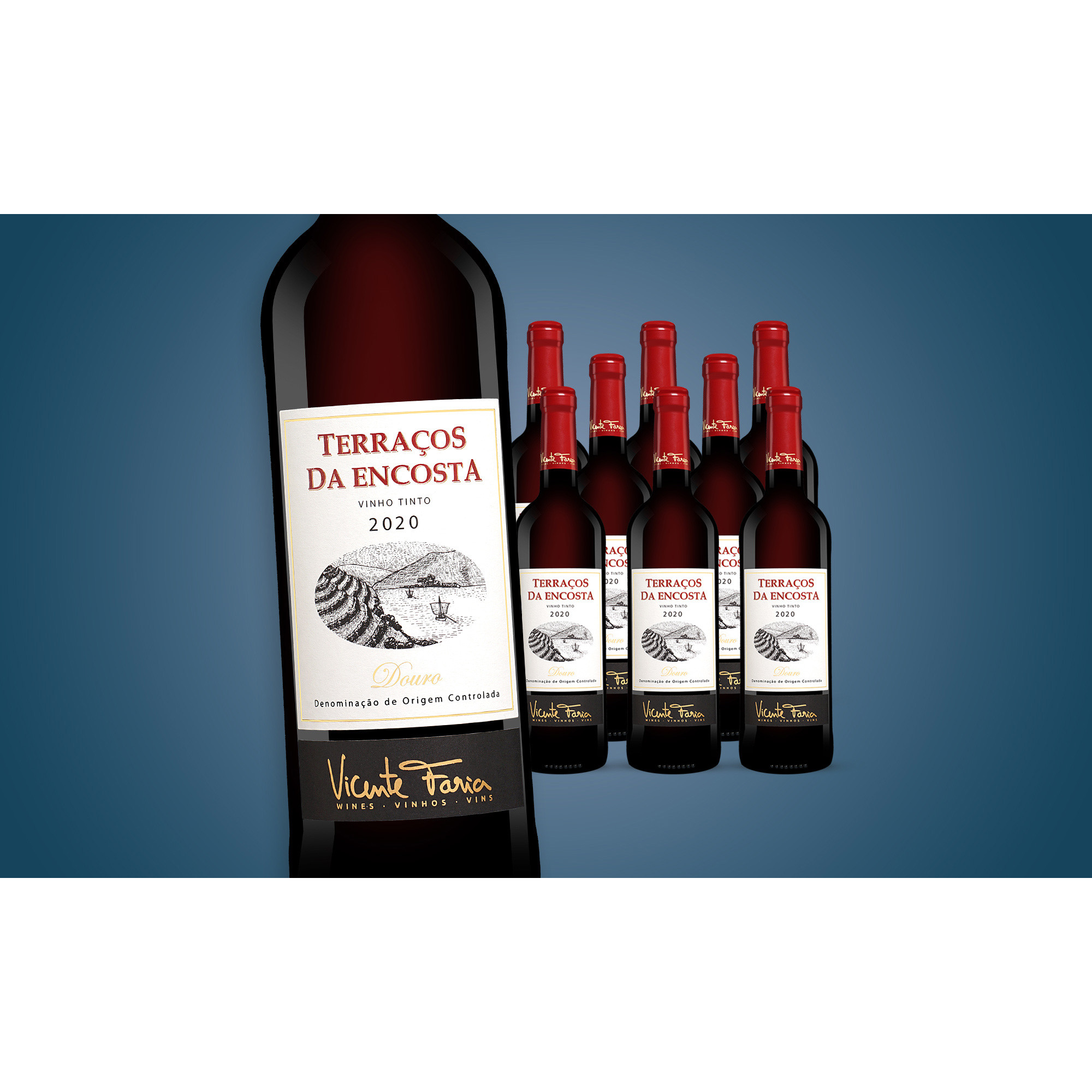 Terraços da Encosta 2020  6.75L 13.5% Vol. Weinpaket aus Spanien 36305 vinos DE
