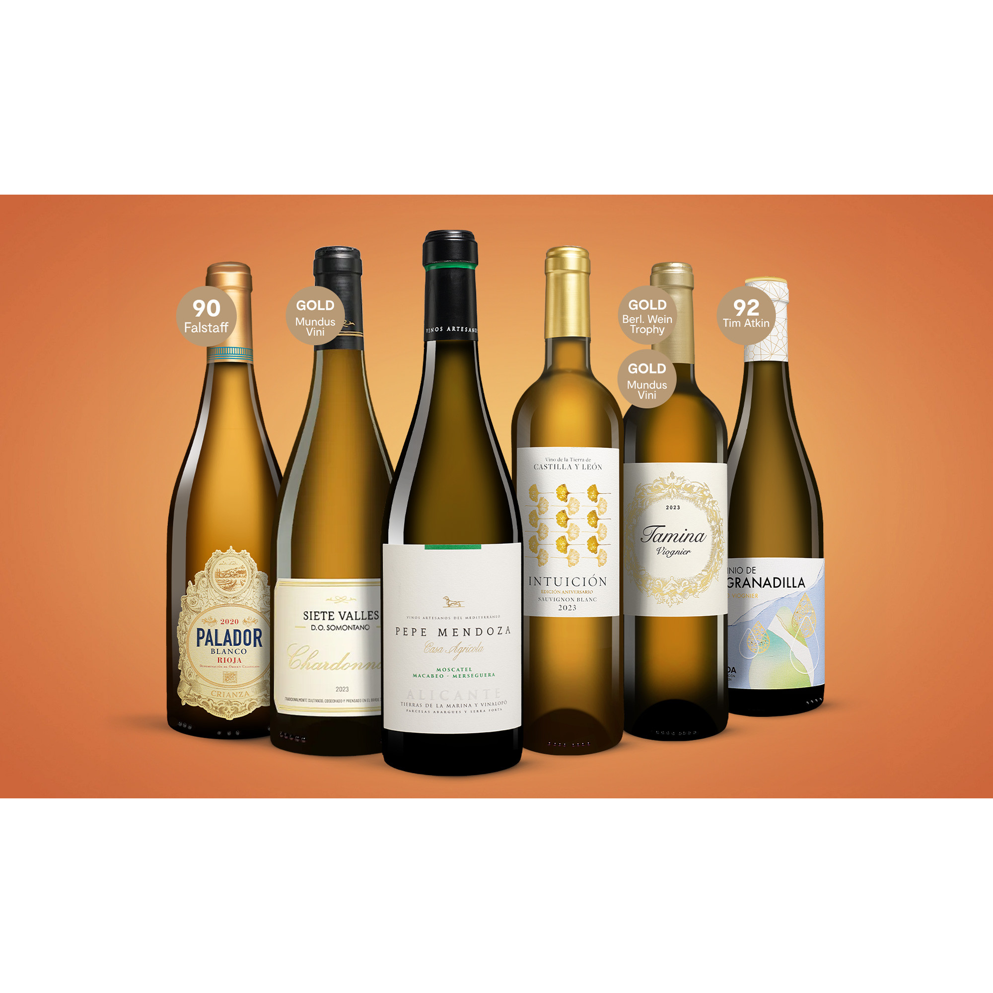 Weißwein-Premium-Paket  4.5L Weinpaket aus Spanien 36356 vinos DE