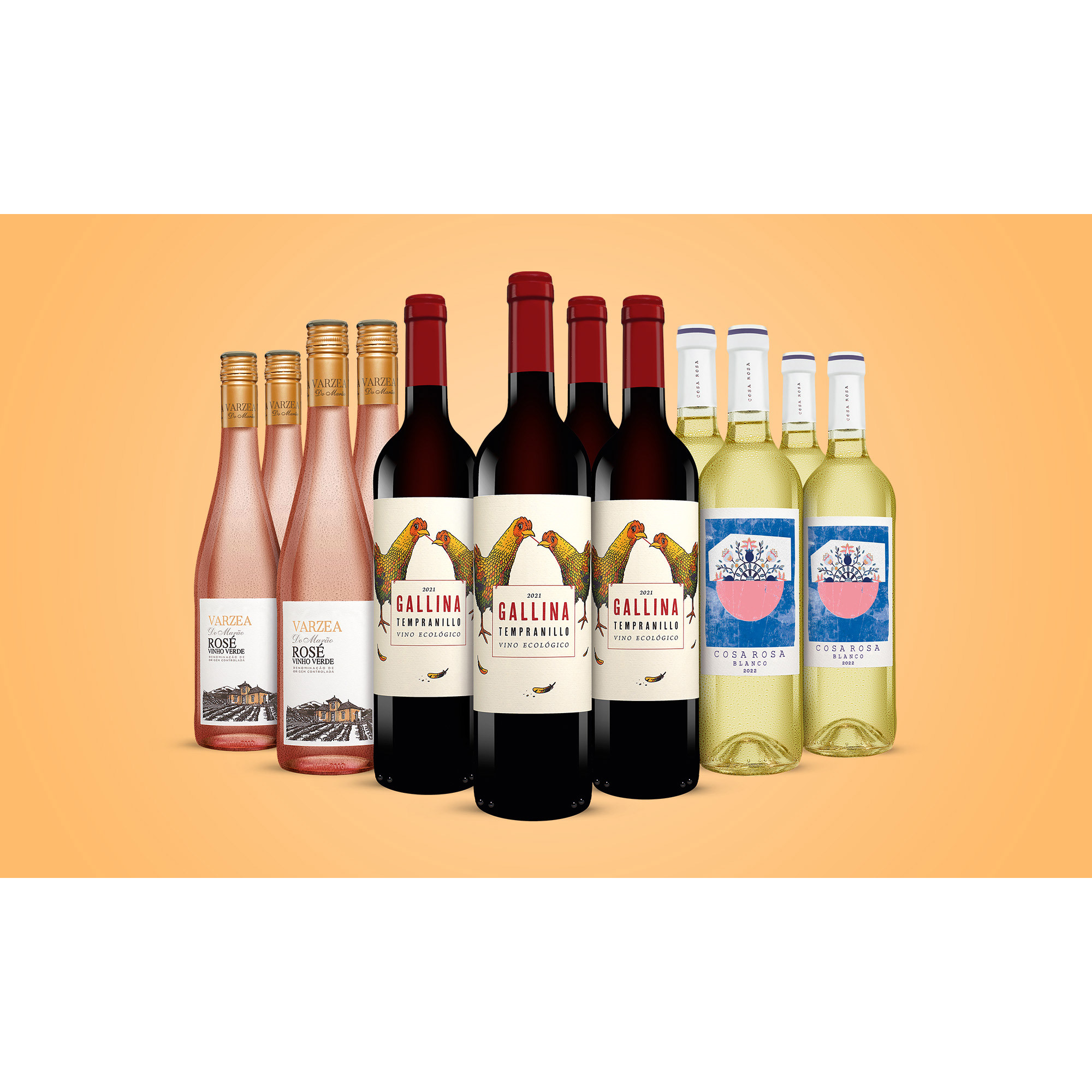 Iberische-Leichtigkeit-Paket  9L Weinpaket aus Spanien 36407 vinos DE
