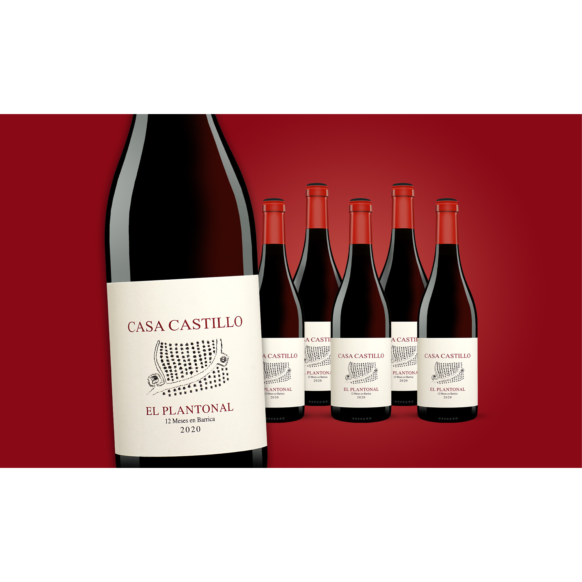 Casa Castillo El Plantonal 2020  4.5L 14.5% Vol. Weinpaket aus Spanien 36423 vinos DE