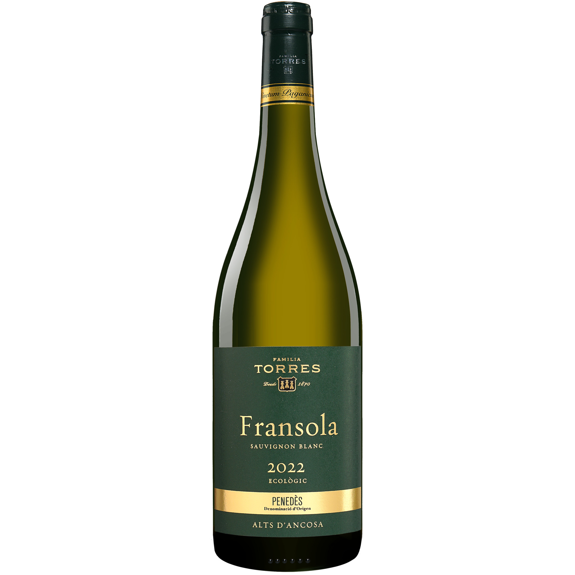 Torres »Fransola« 2022  013.5% Vol. Weißwein Trocken aus Spanien
