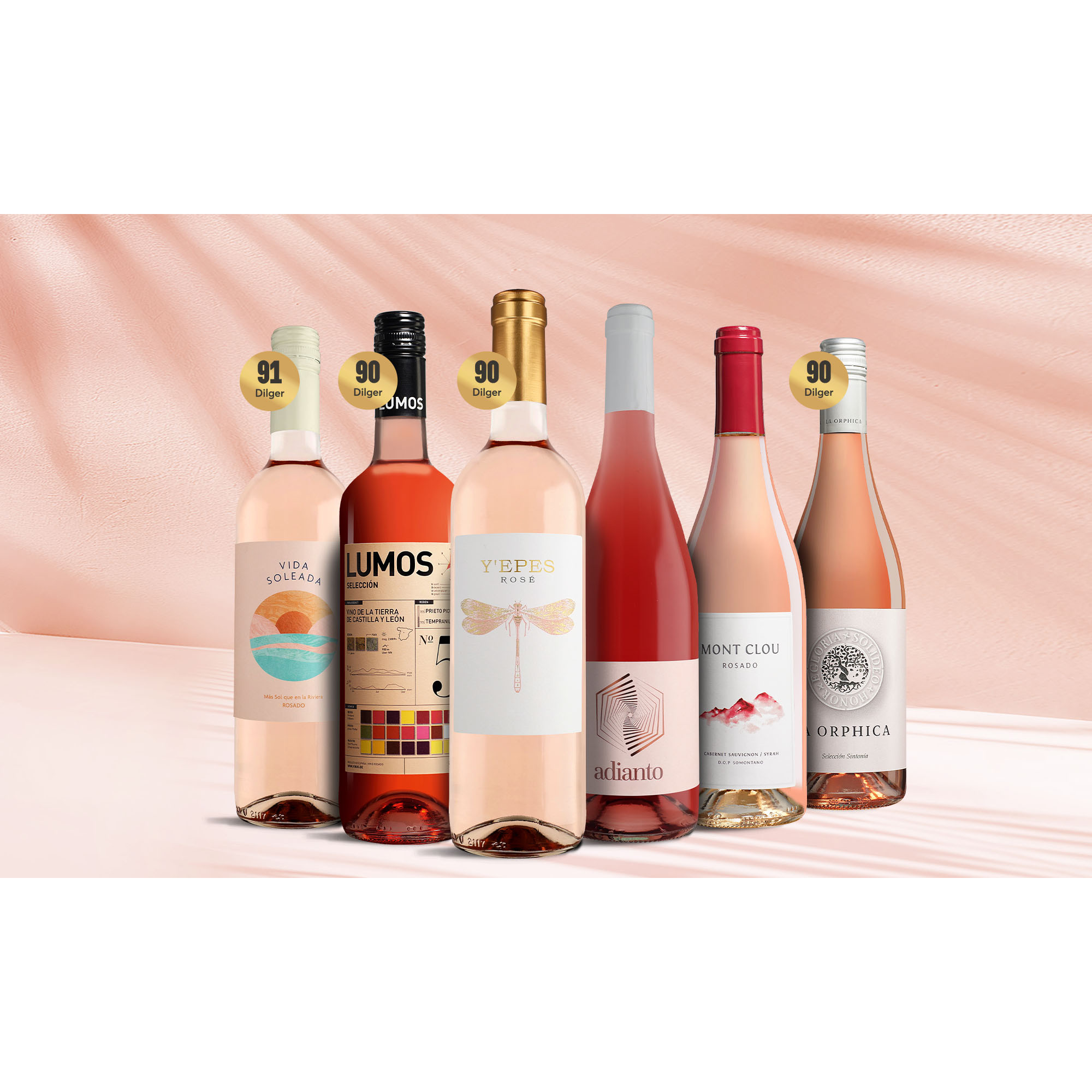 Rosado-Favoriten 4 Weinpaket aus Spanien