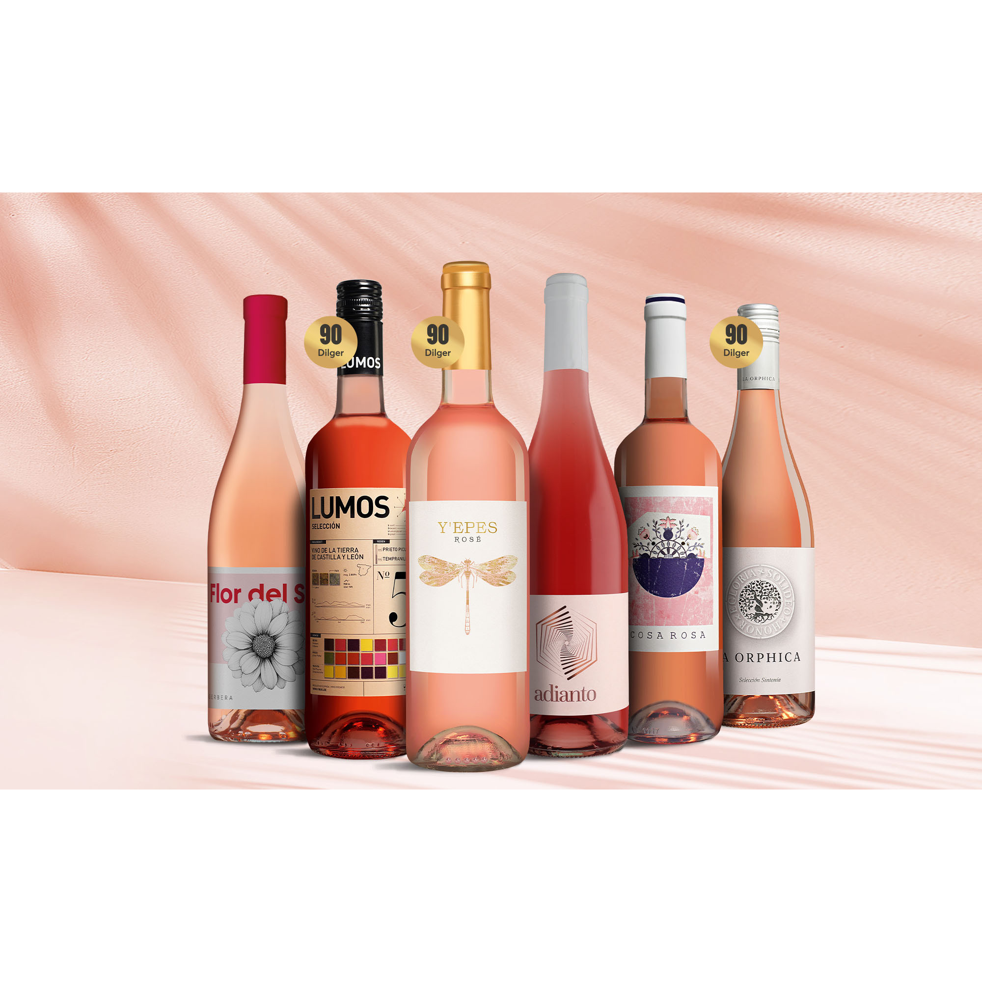 Rosado-Favoriten 4 Weinpaket aus Spanien