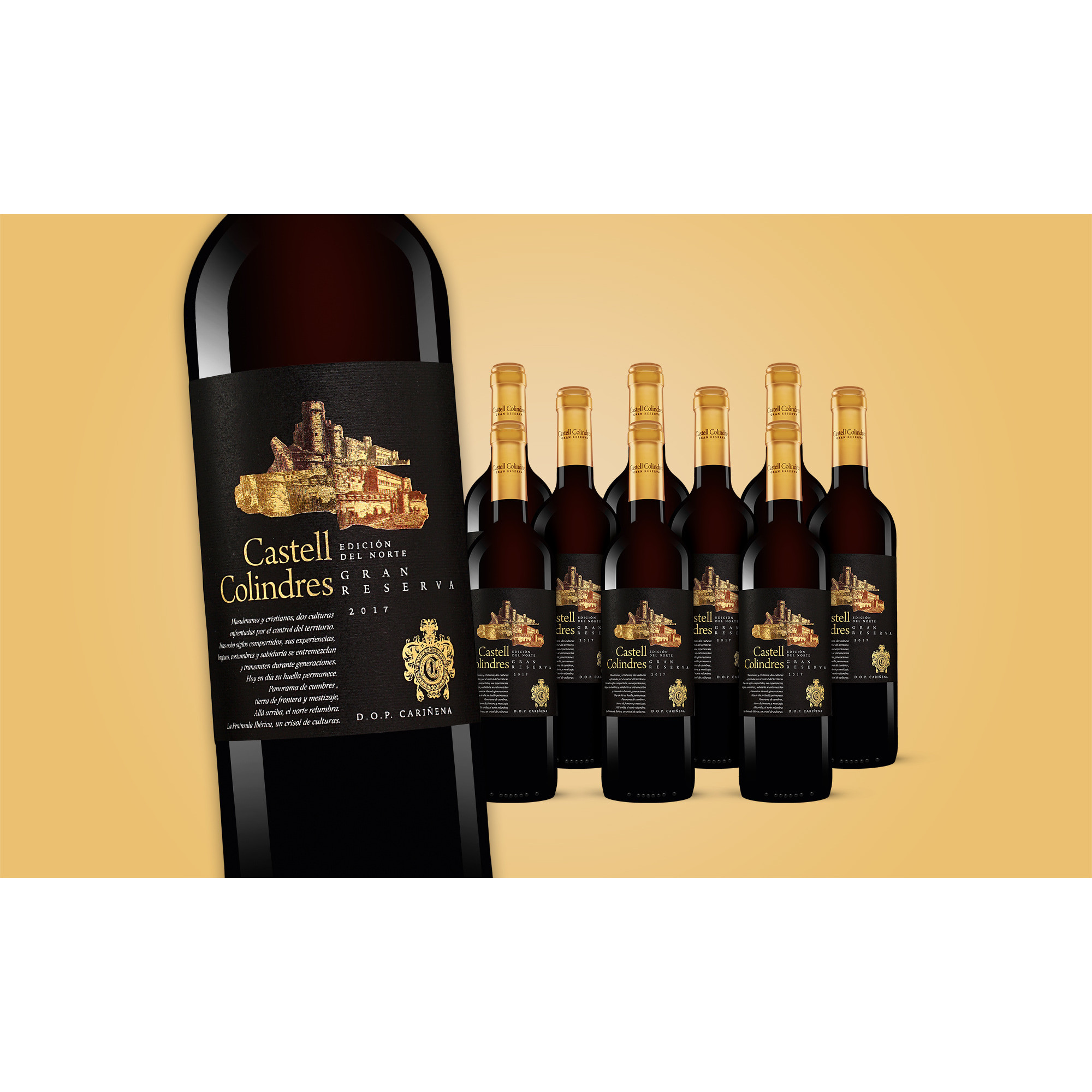 Castell Colindres Gran Reserva E. d. N. 2017  7.5L 14% Vol. Weinpaket aus Spanien 36964 vinos DE