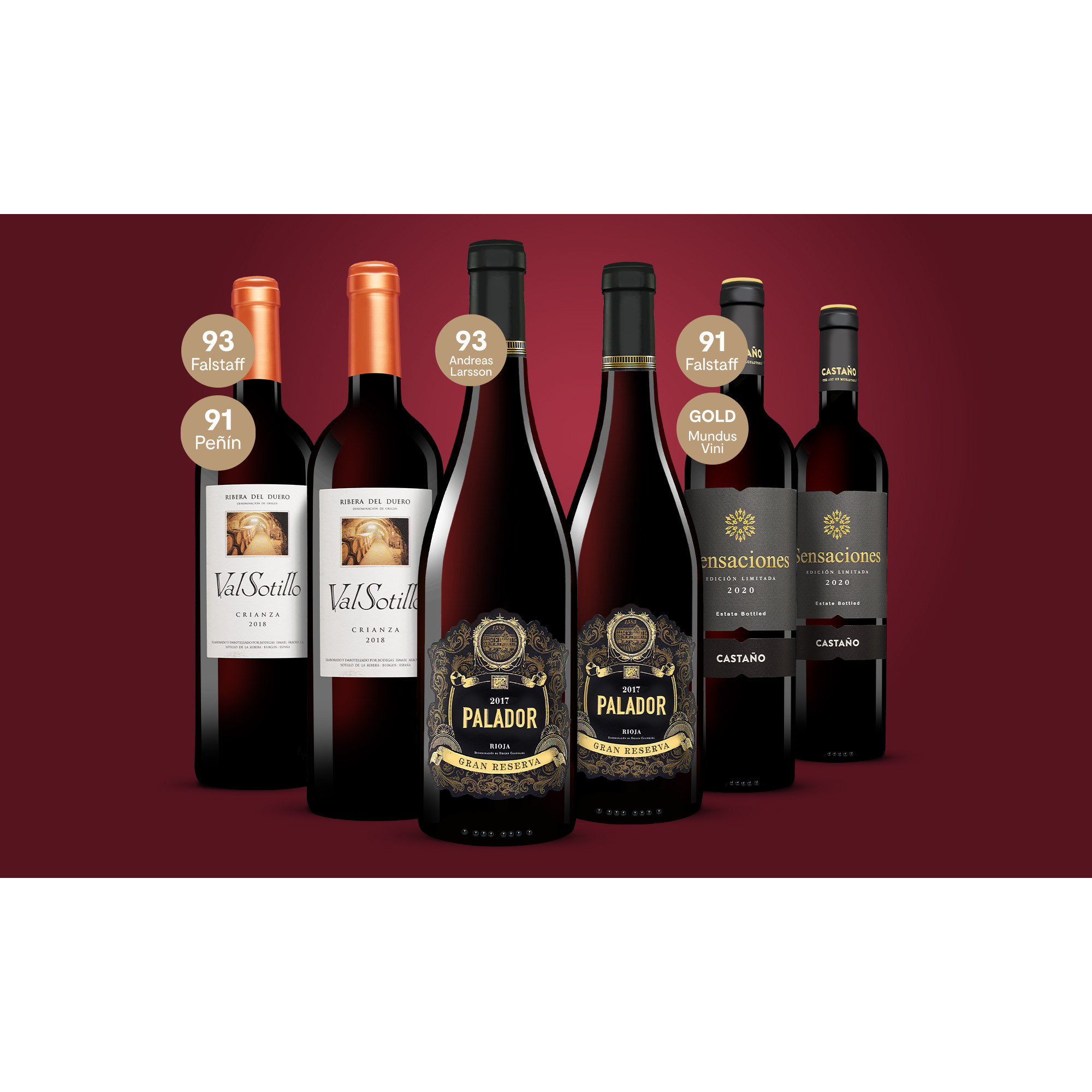 Festwein-Genießer-Paket  4.5L Weinpaket aus Spanien 36967 vinos DE